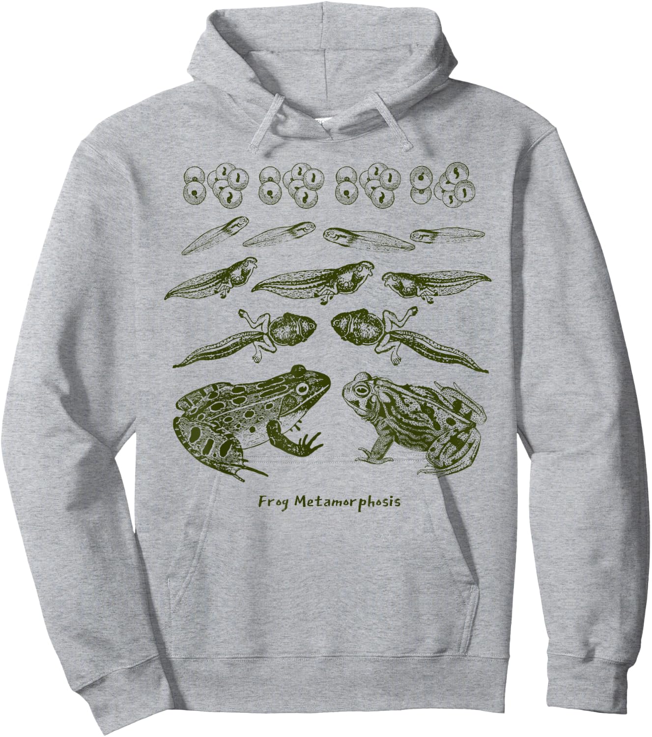 Frog Tadpole Life Cycle Metamorphosis Biology Science Hoodie - Hoodie | Ash