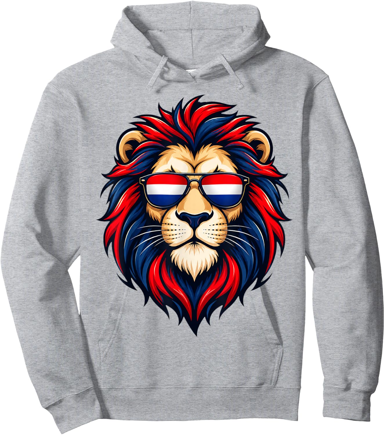 Vintage Nederland Lion Netherlands Flag Dutch Holland Orange Hoodie - Hoodie | Ash