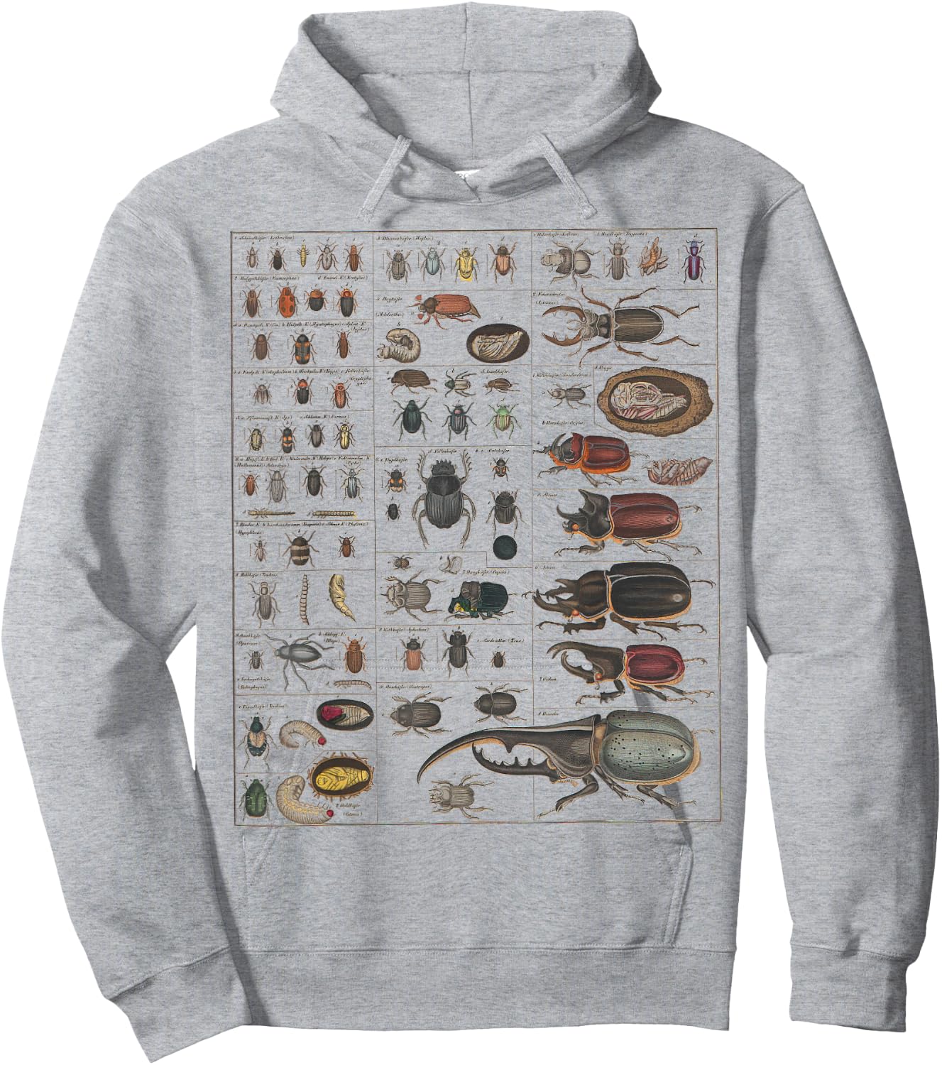Insect Collection Species Bugs Vintage Chart Entomology Hoodie - Hoodie | Ash
