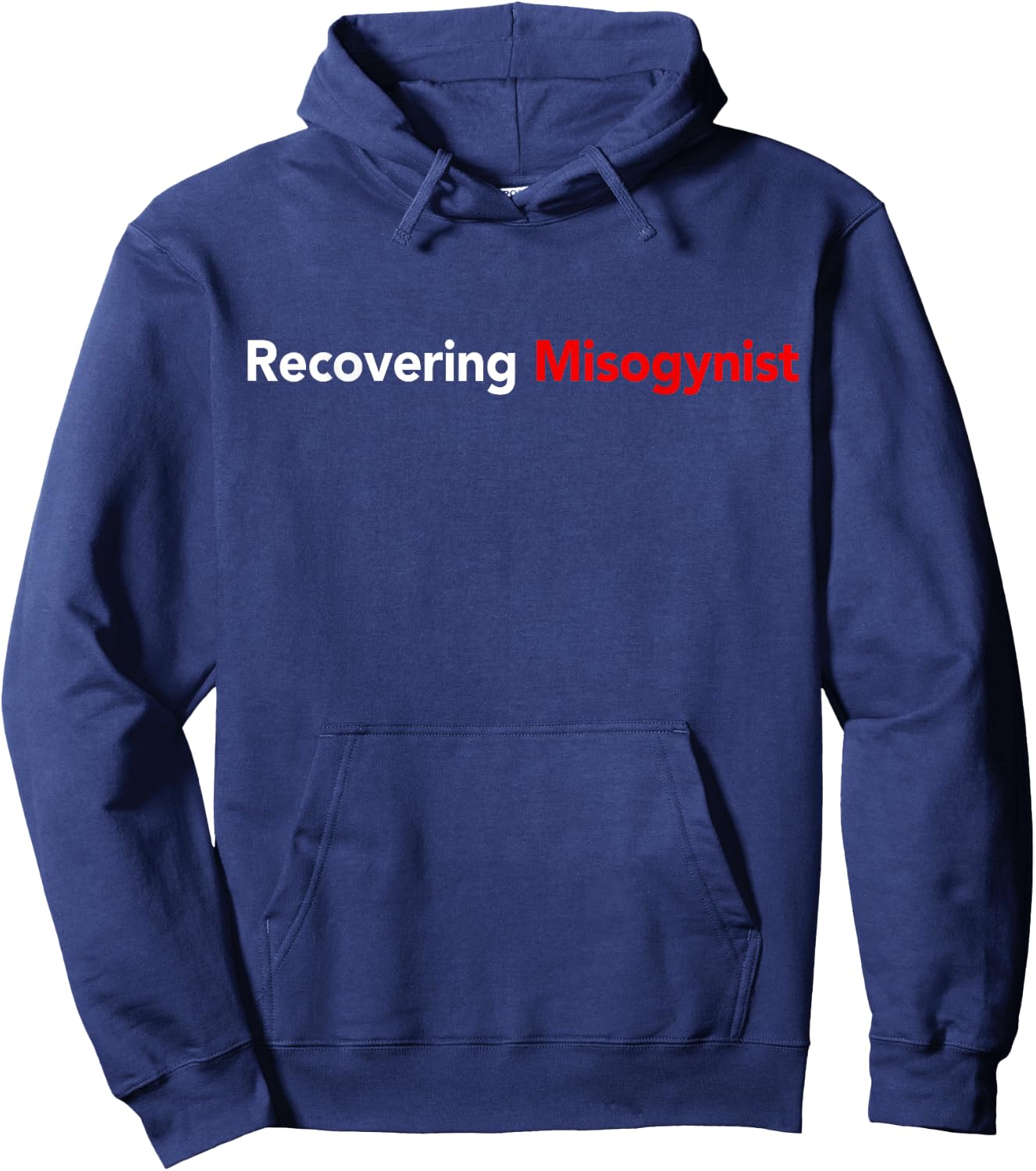 Recovering Misogynist Hoodie - Hoodie | Navy
