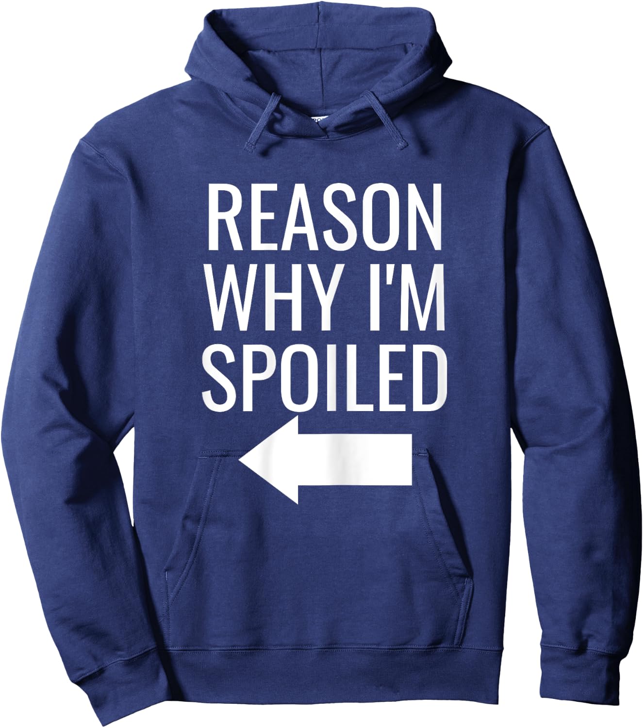 Reason Why I'm Broke Spoiled Funny Matching Couples Hoodie - Hoodie | Navy