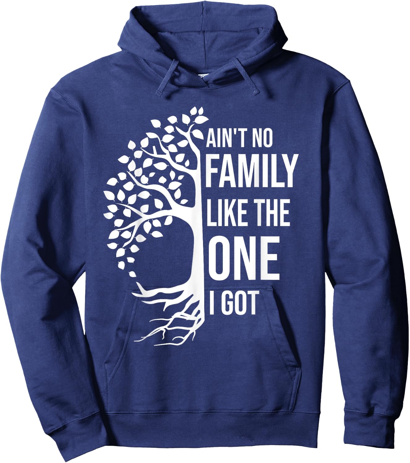 Ain't No Family Like The One I Got Funny Family Reunion 2025 Hoodie - Hoodie | Navy