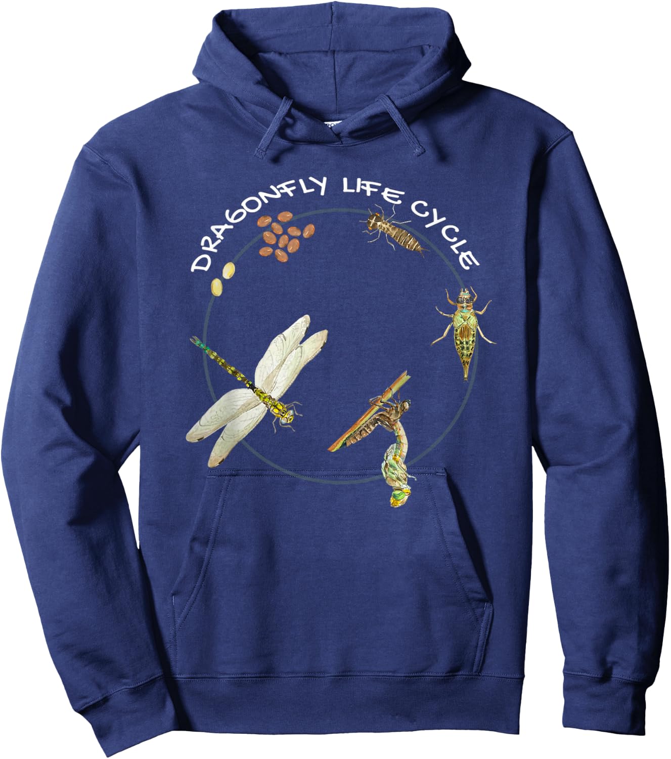 Dragonfly Life Cycle Facts 3 Stages Insect Development Hoodie - Hoodie | Navy