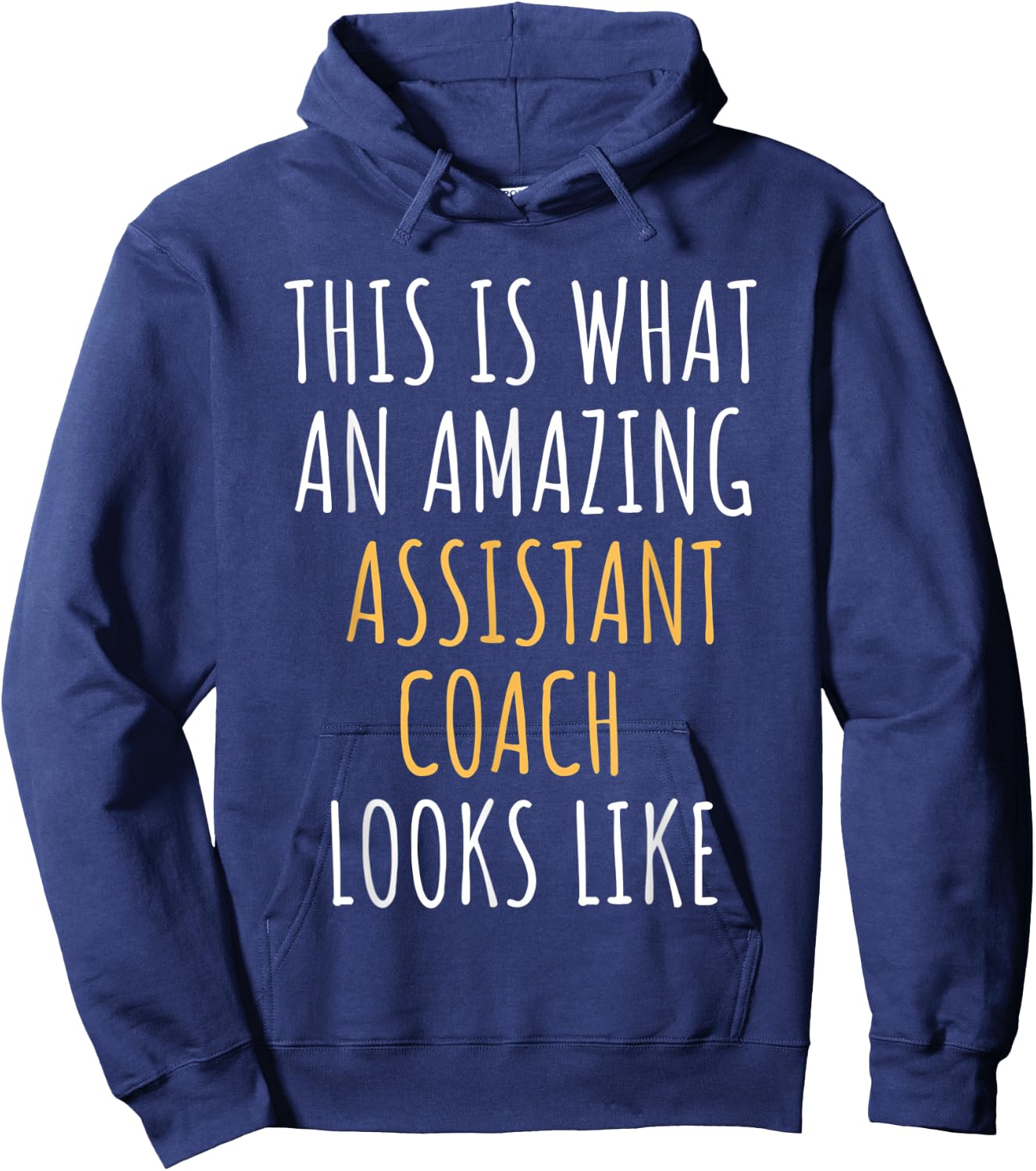 Assistant Coach Appreciation Thank You End Of Year Christmas Hoodie - Hoodie | Navy