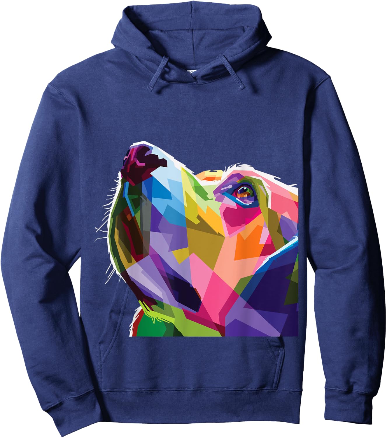Rainbow Lab Colorful Dog Lover Labrador Retriever Women Kids Hoodie - Hoodie | Navy