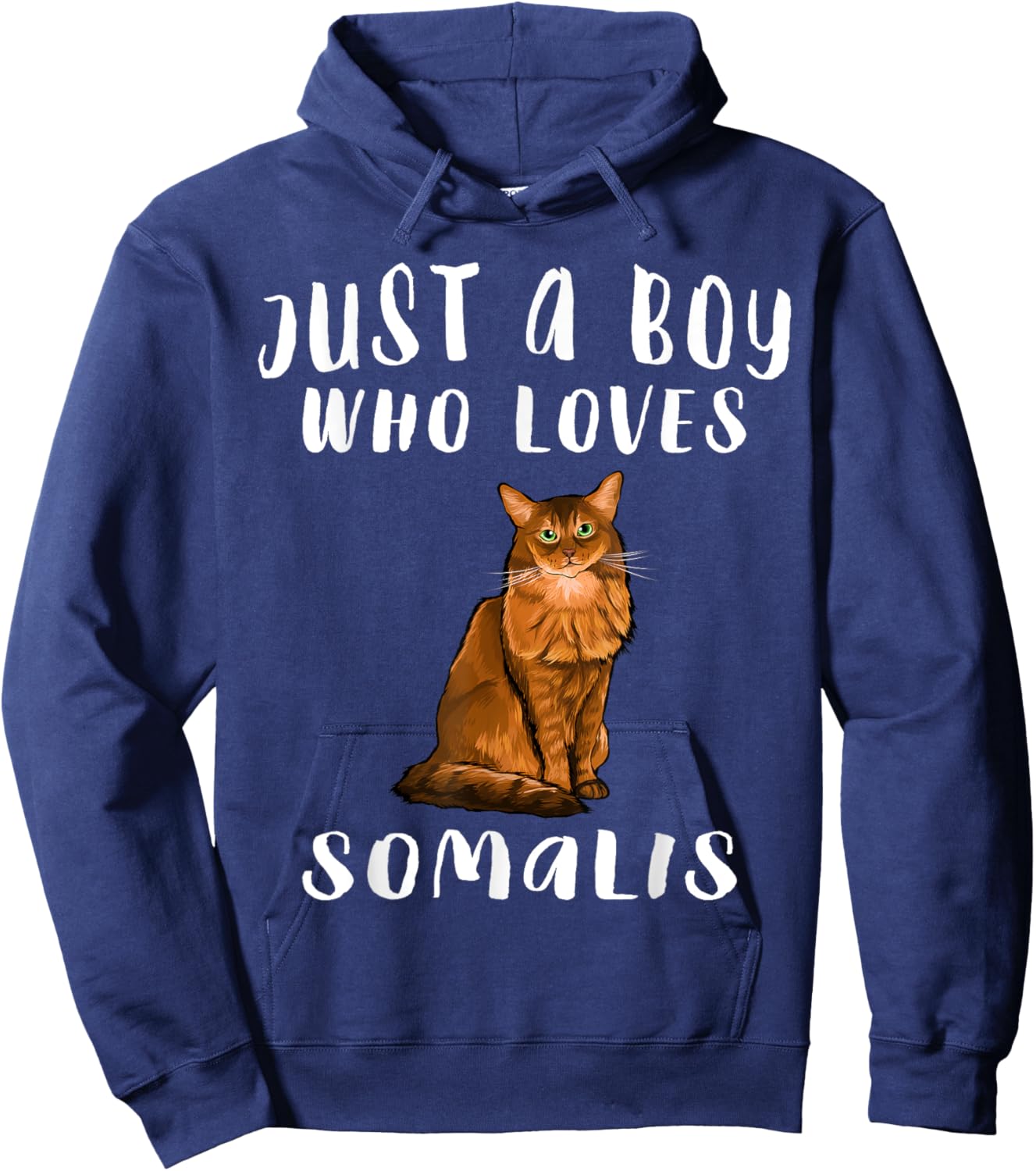 Im Just A Boy Who Loves Somali Cat Lover Gift Hoodie - Hoodie | Navy
