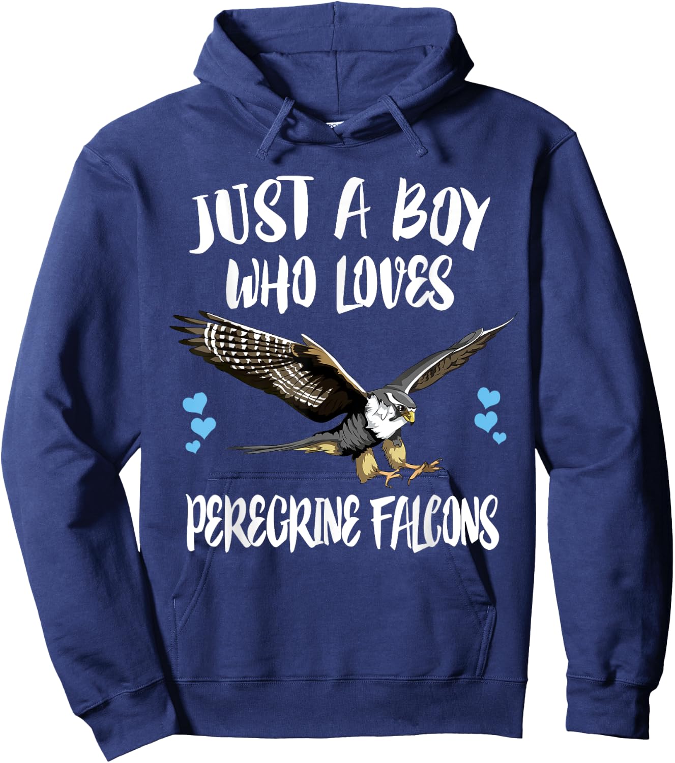 Just A Boy Who Loves Peregrine Falcons Birds Hoodie - Hoodie | Navy