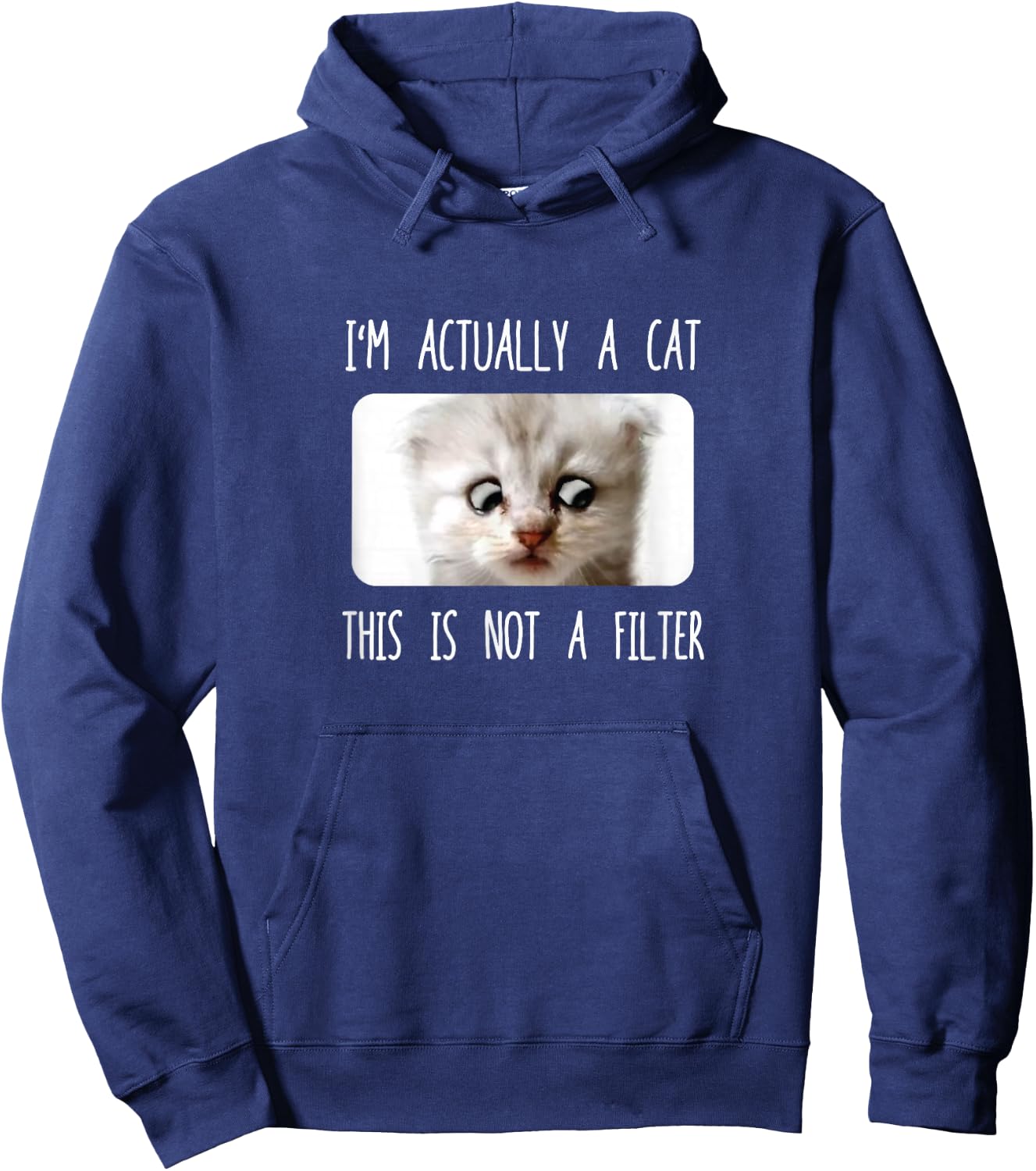 I'm Not A Cat, Sarcastic Funny Cat Filter Meme Zoom Call Men Women Girls Kids Hoodie - Hoodie | Navy