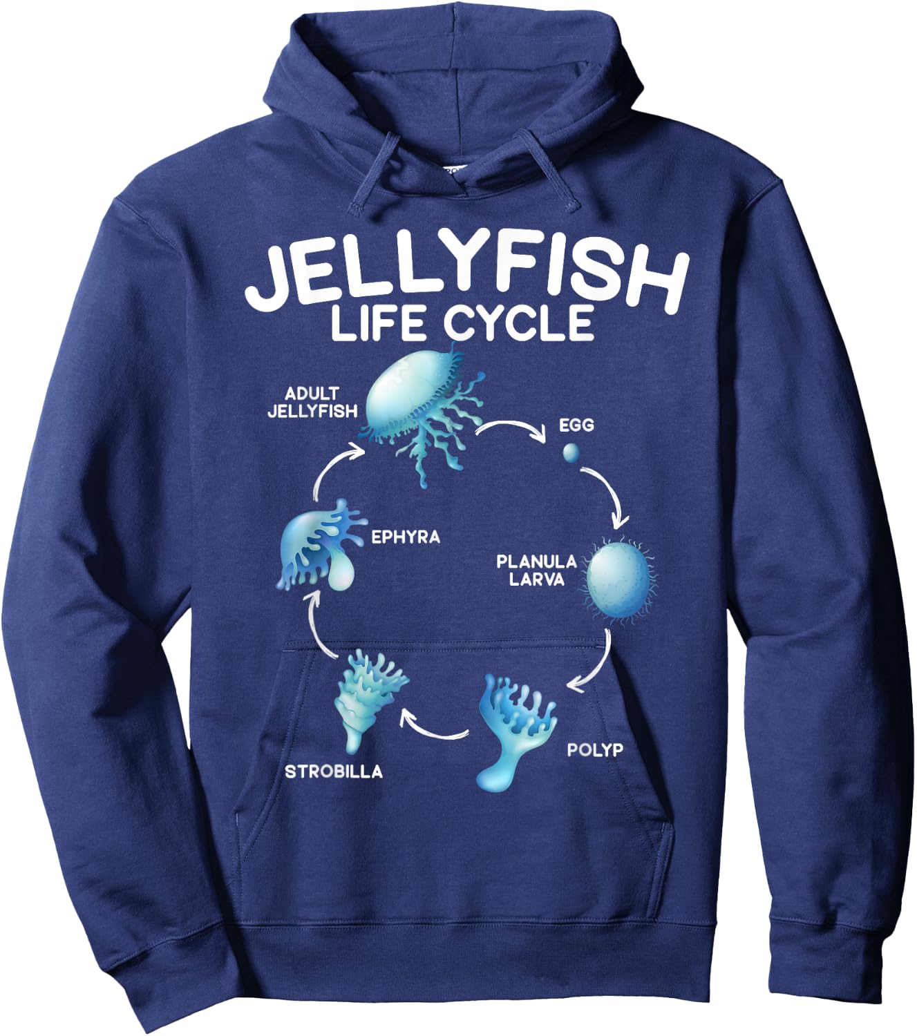 Jellyfish Life Cycle Animal Lover Jellyfish Season Hoodie - Hoodie | Navy