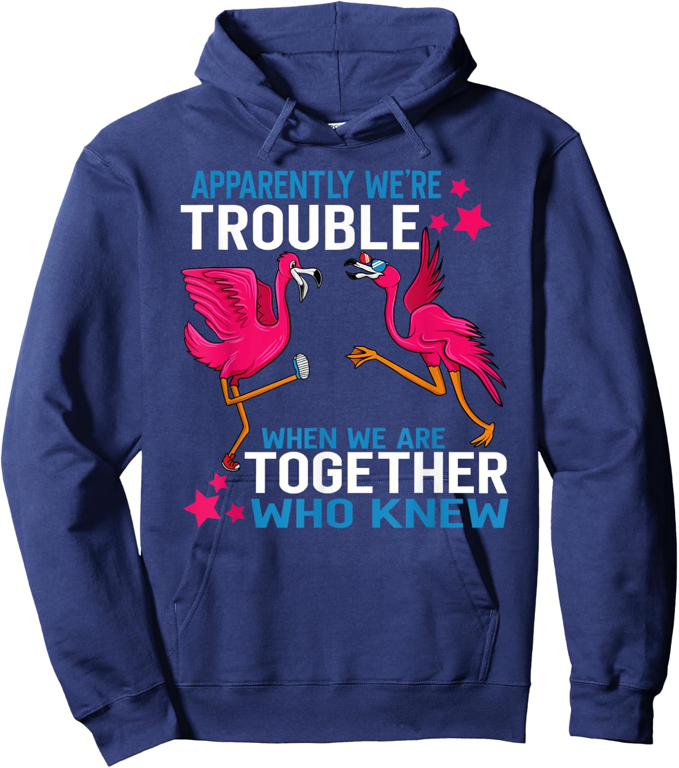 Apparently We Are Trouble When We Are Together Flamingo Hoodie - Hoodie | Navy
