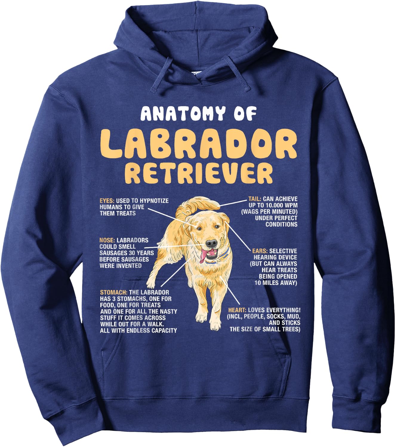 Anatomy Of Labrador Retriever Lovers Funny Lab Owners Hoodie - Hoodie | Navy