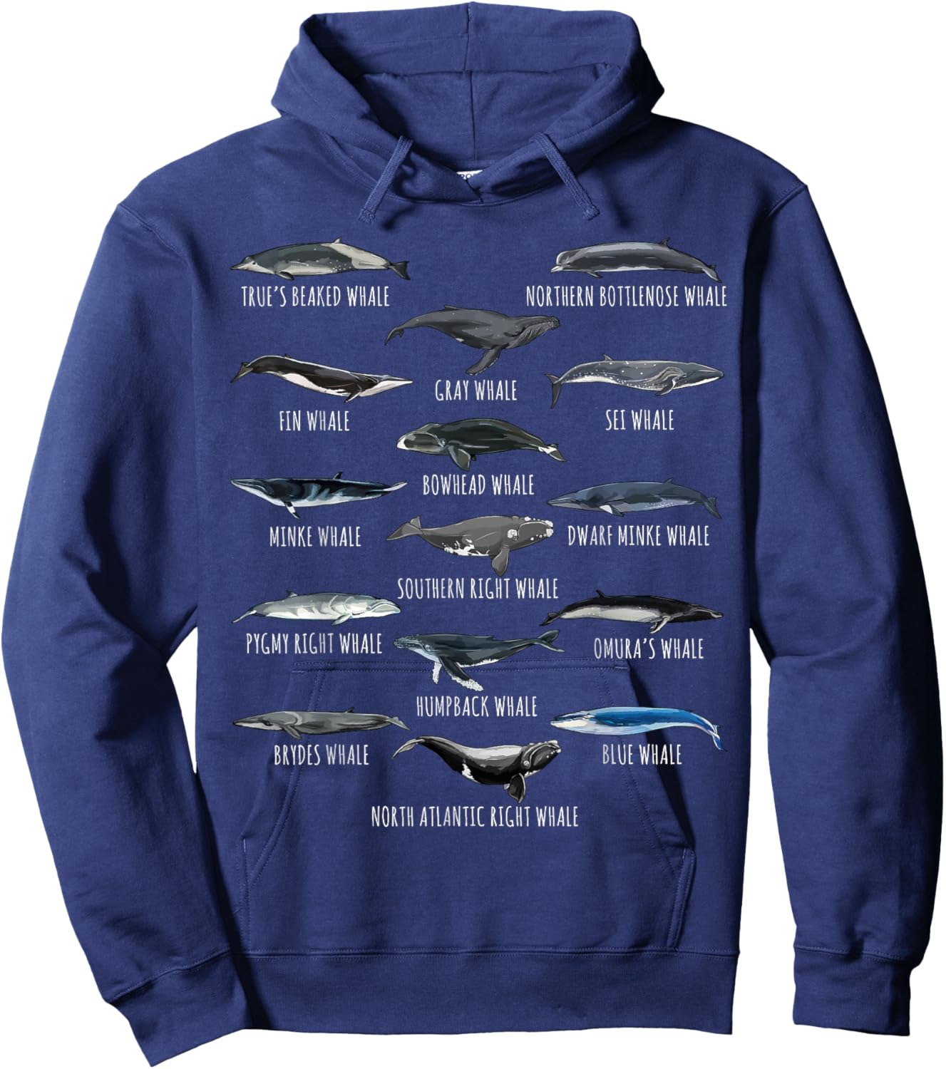 Different Whale Species Biology Types Of Whales Hoodie - Hoodie | Navy