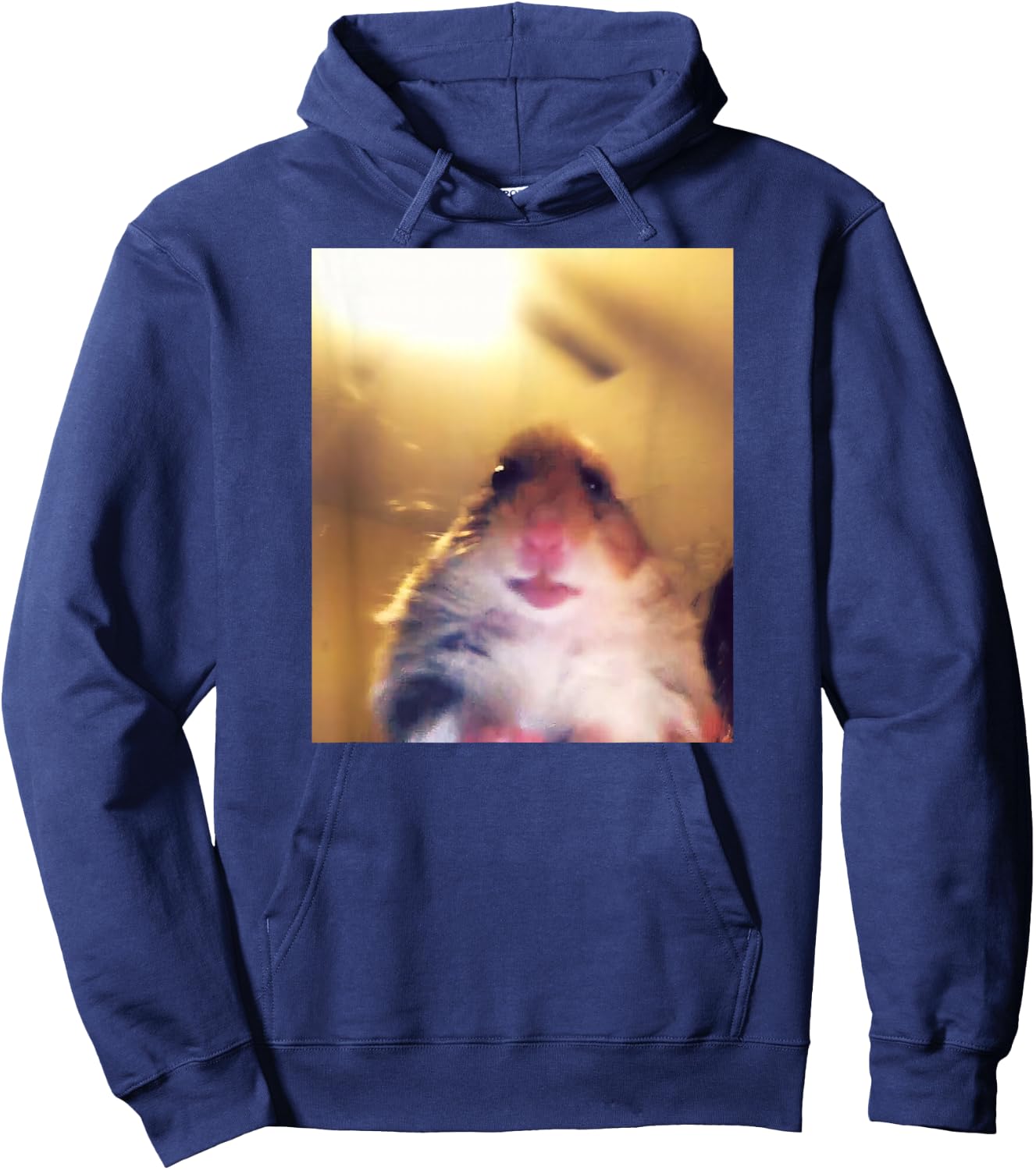 Staring Hamster Meme Front Camera Hoodie - Hoodie | Navy