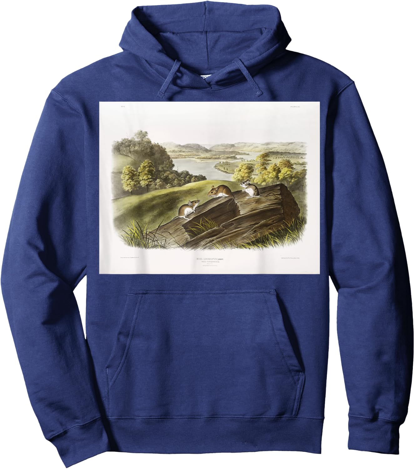 White-footed Mouse Animal Illustration & Women Hoodie - Hoodie | Navy
