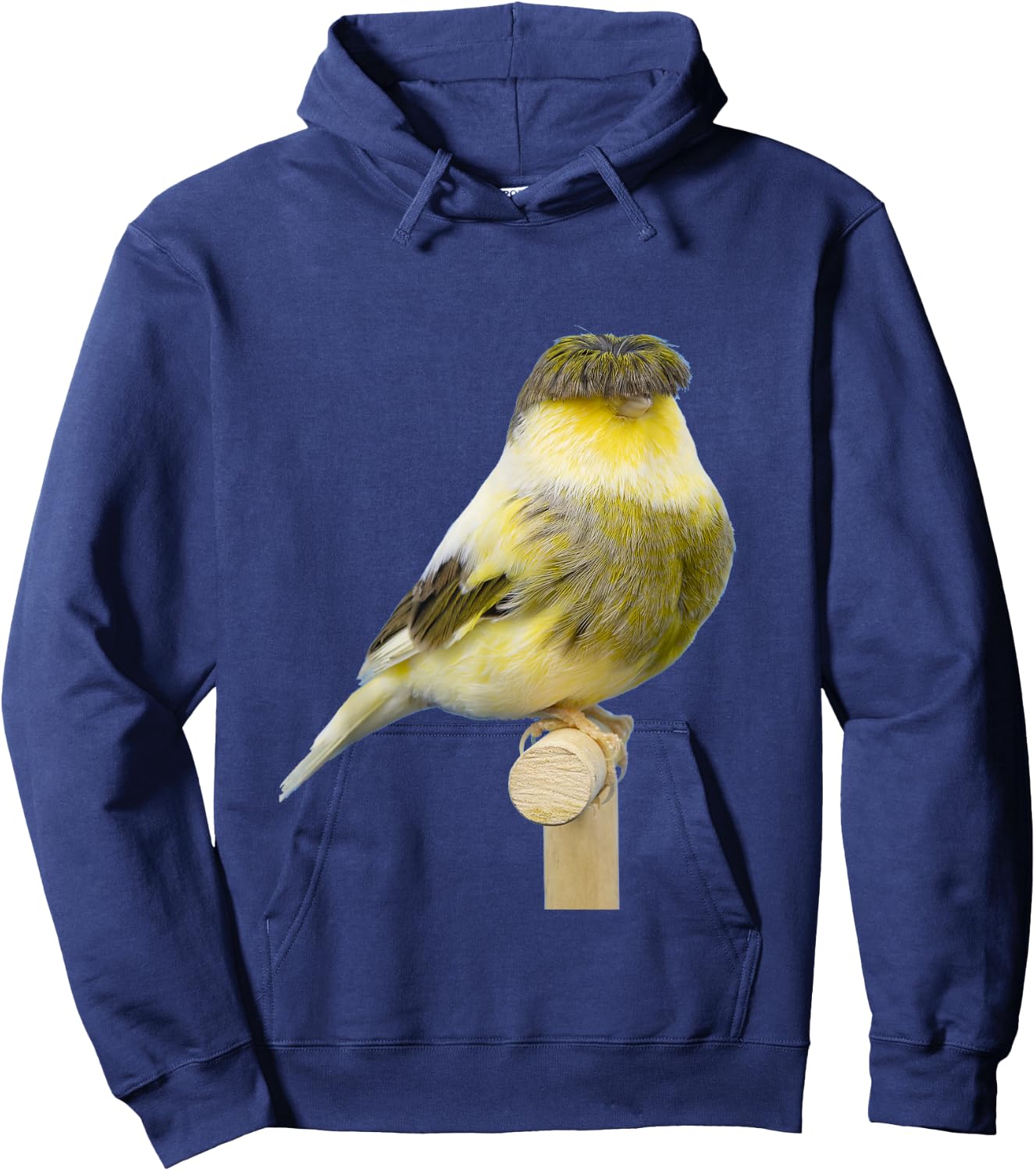 Gloster Canary | Beutiful Canary Gift Hoodie - Hoodie | Navy