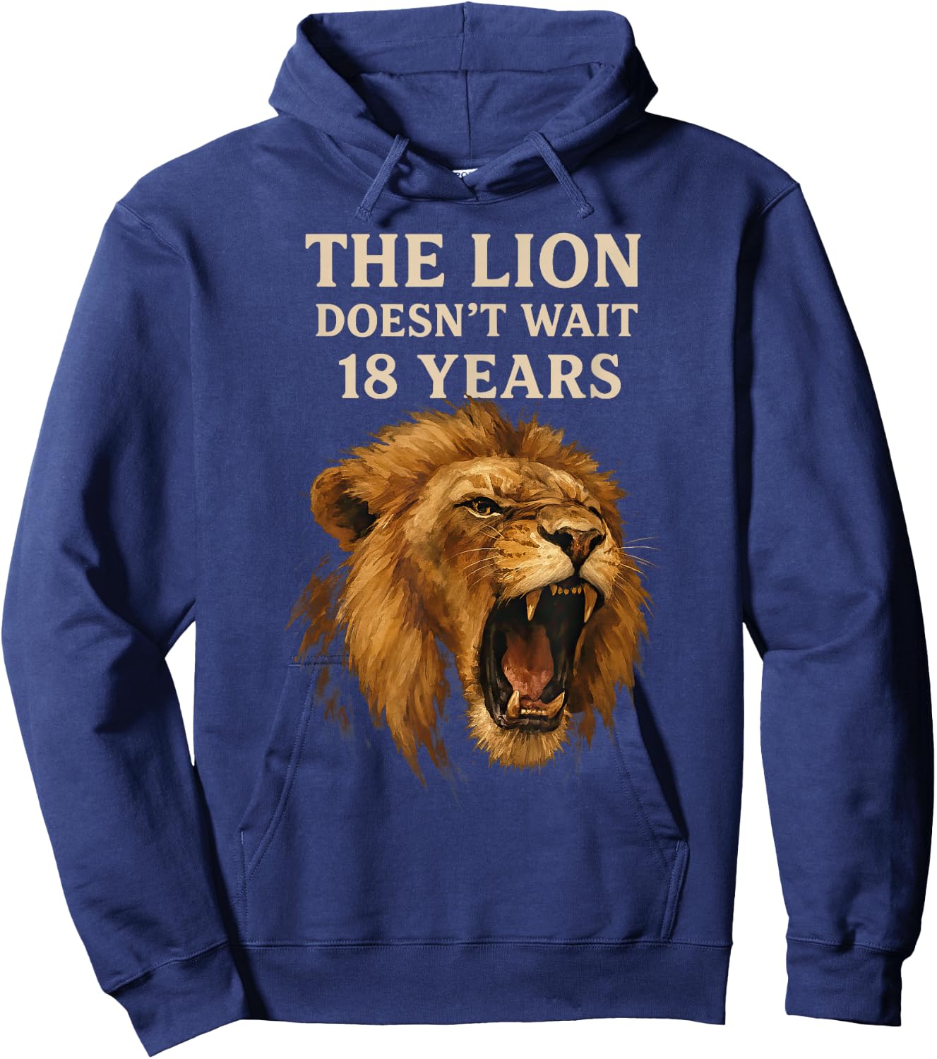 Sarcasm Funny Humor Lion Meme The Lion Doesn't Wait 18 Years Hoodie - Hoodie | Navy