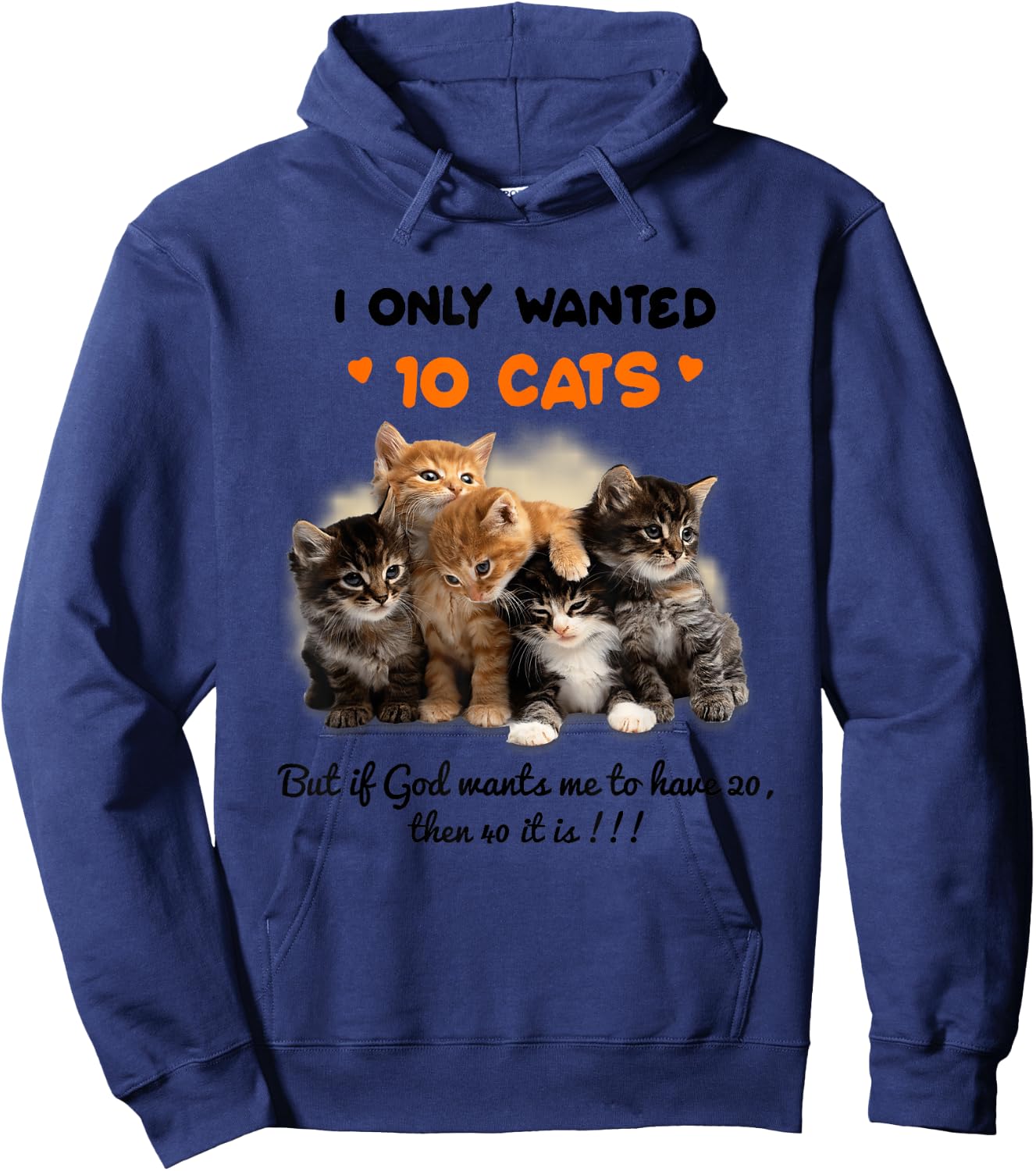 I Only Wanted 10 Cats But if God Wants Me To Have 20 Hoodie - Hoodie | Navy