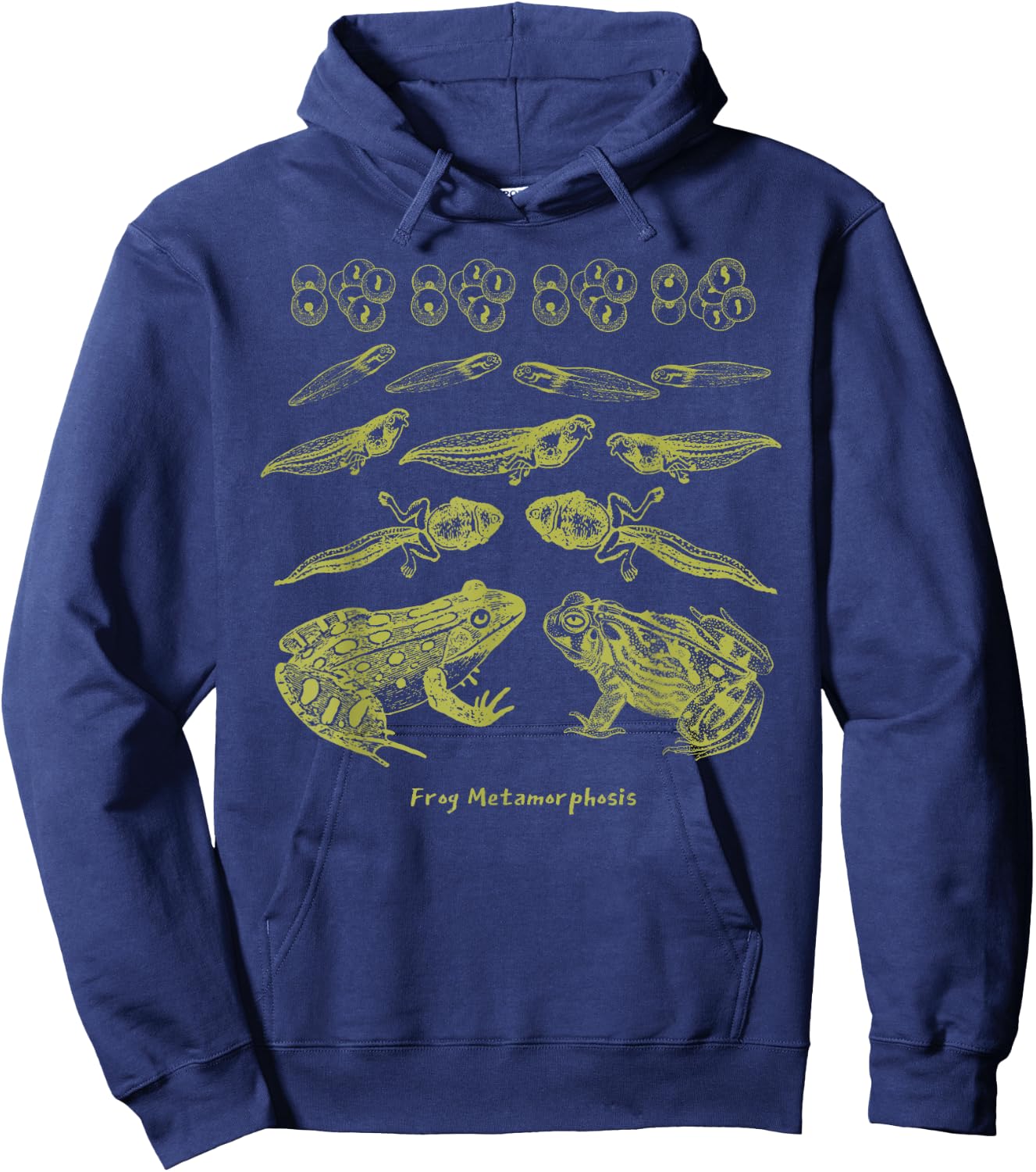 Frog Tadpole Life Cycle Biology Teacher Vintage Science Hoodie - Hoodie | Navy