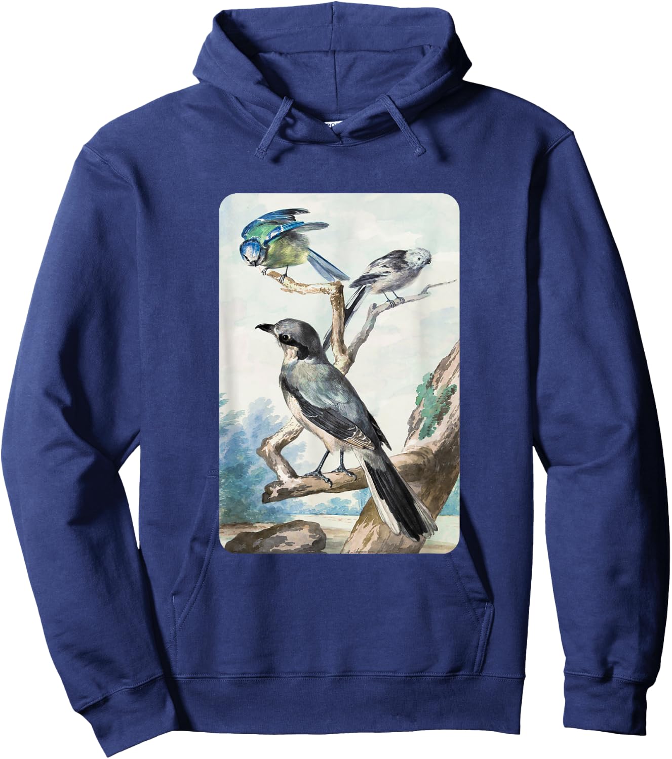 Long-tailed Tit Blue Tit and Great Shrike By Aert Schouman Hoodie - Hoodie | Navy