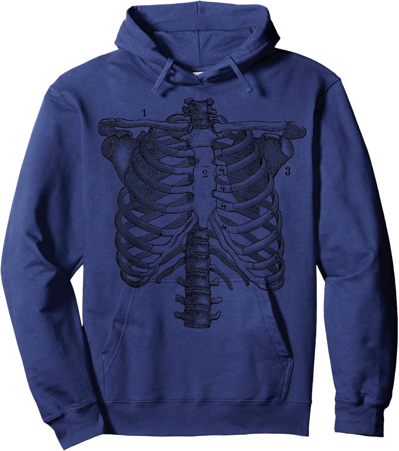 Ribcage Anatomy Print Hoodie - Hoodie | Navy