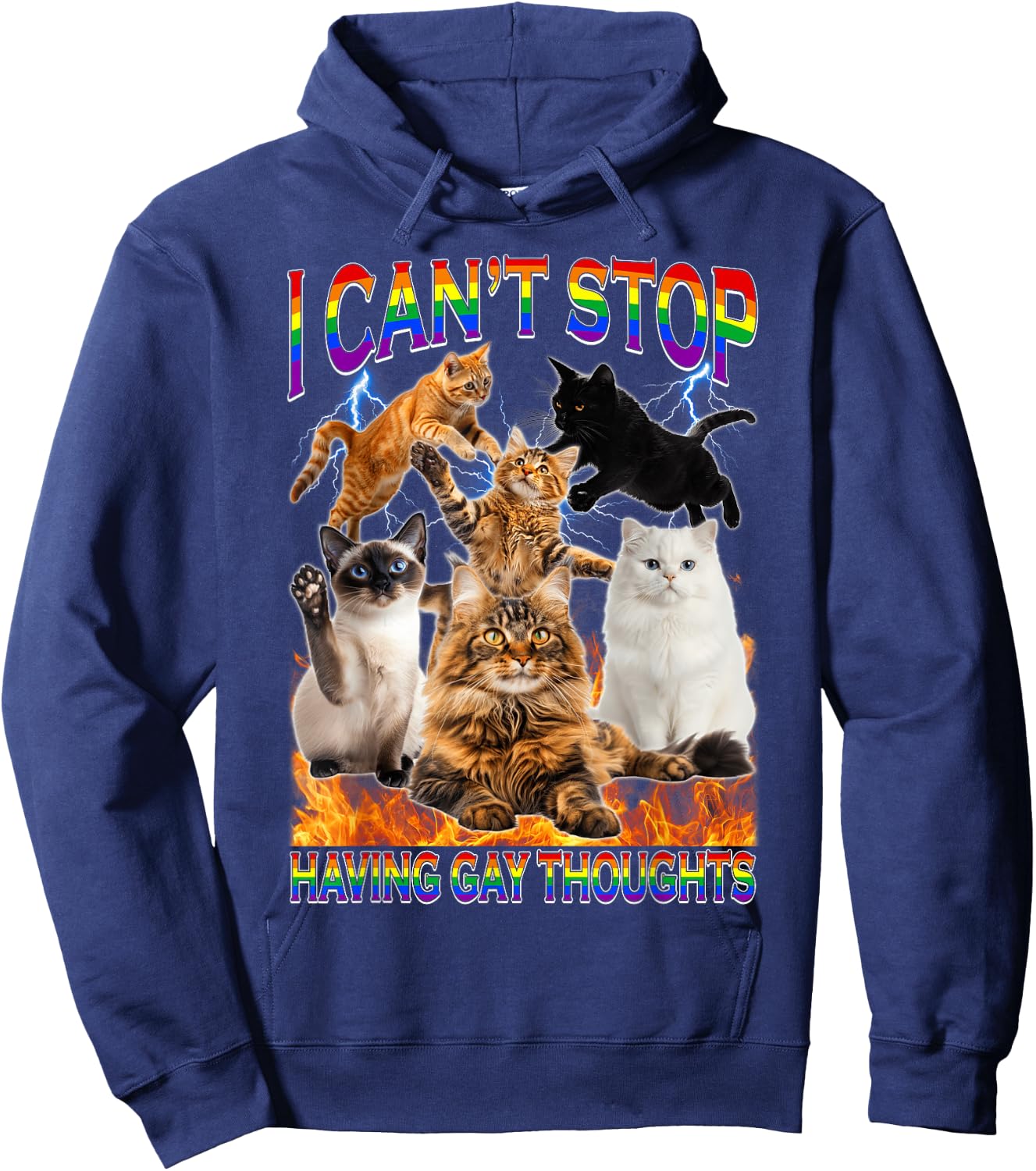 I Can't Stop Having Gay Thoughts Funny Cat LGBTQ Pride Month Hoodie - Hoodie | Navy