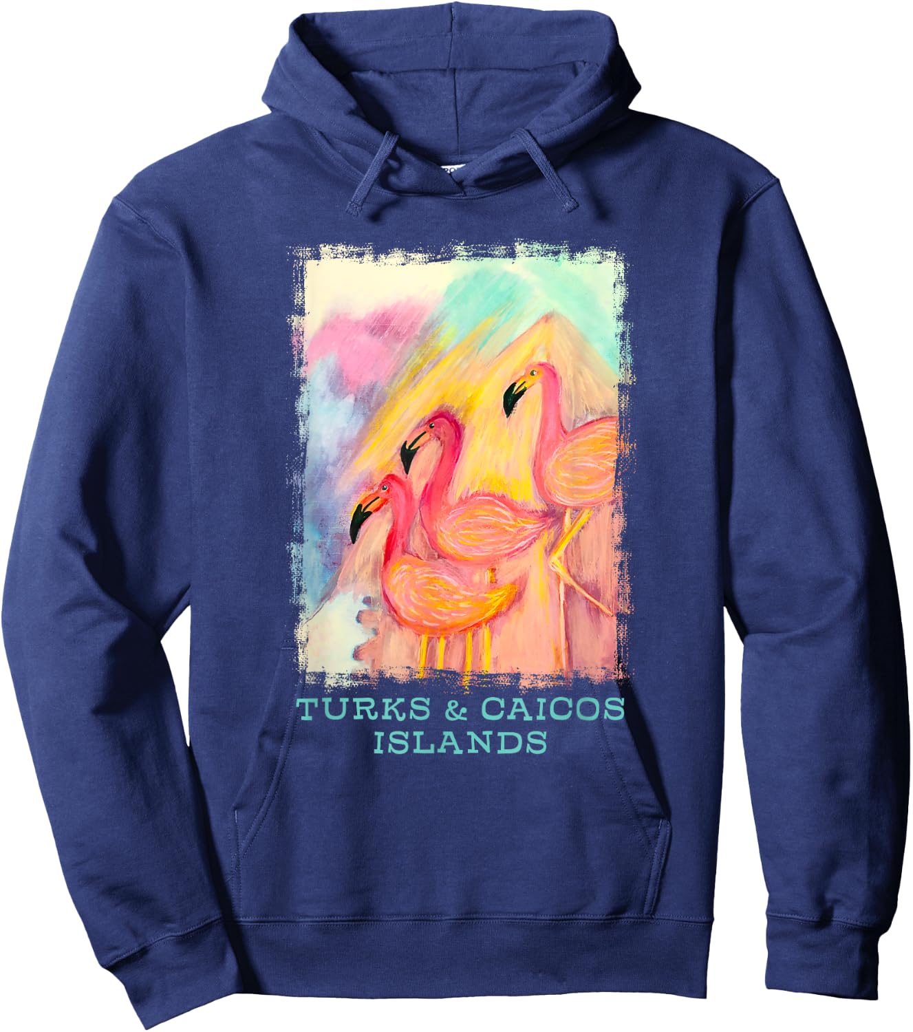 Turks and Caicos Islands Flamingo Birds Birders Souvenir Hoodie - Hoodie | Navy