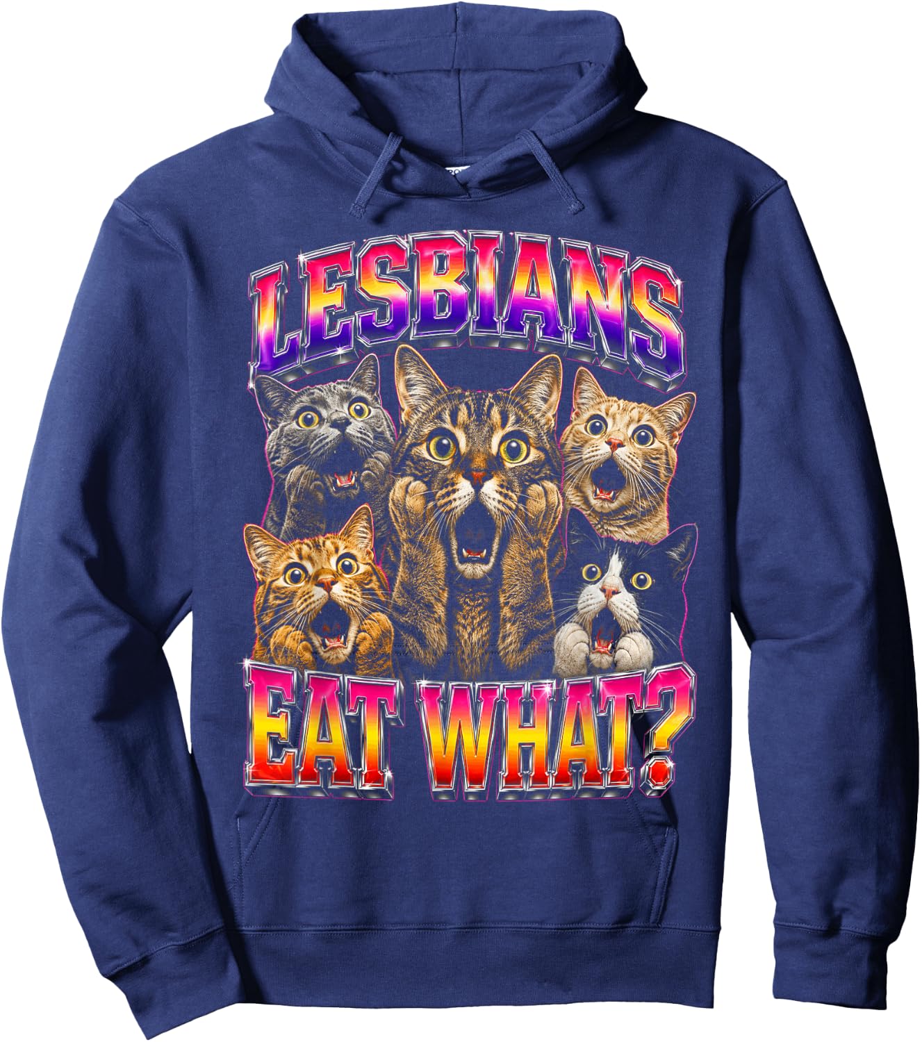 Gay Pride Funny Cats Ally Lesbian LGBT Hoodie - Hoodie | Navy