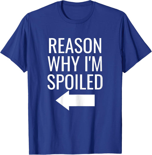 Reason Why I'm Broke Spoiled Funny Matching Couples