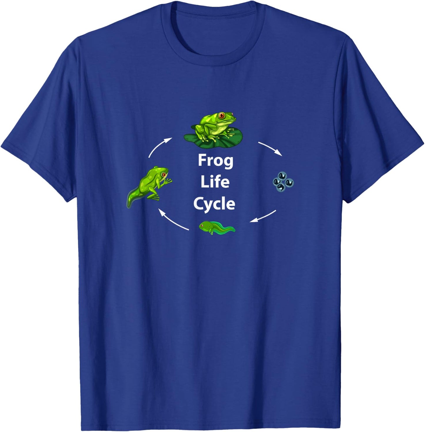 Frog Life Cycle Growth Stages Egg Tadpole Adult Frog T-Shirt - T-Shirt | Royal
