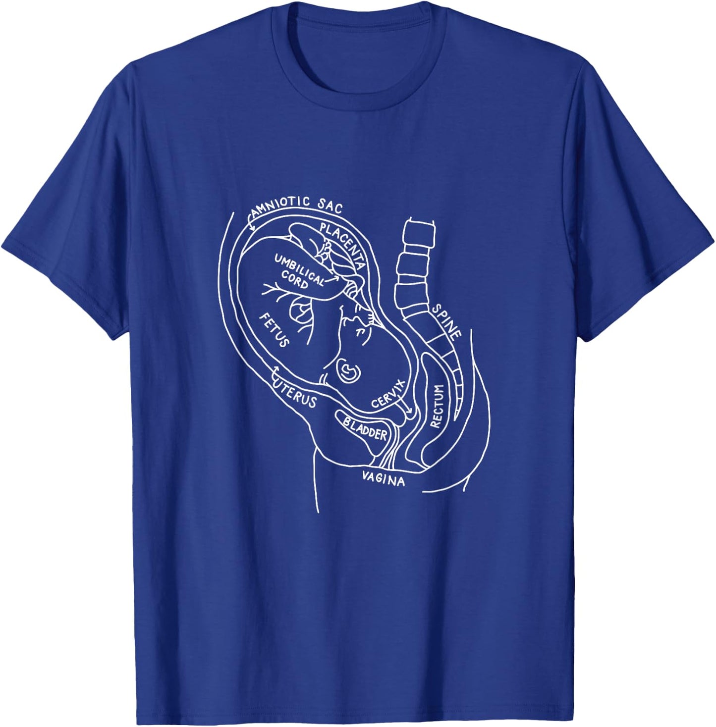 Pregnancy Anatomy Doula Midwife Mom Obstetrician OB GYN T-Shirt - T-Shirt | Royal