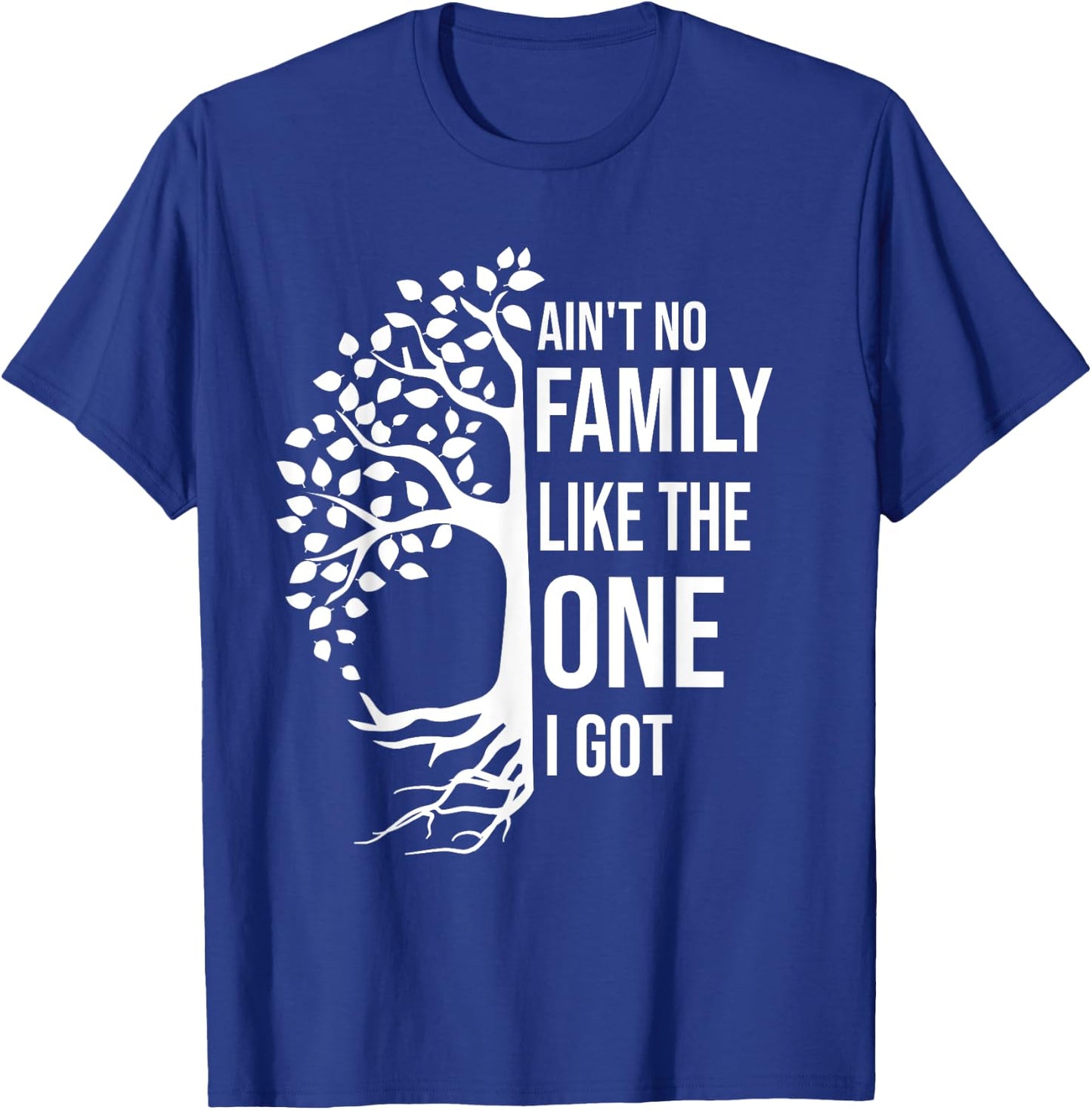 Ain't No Family Like The One I Got Funny Family Reunion 2025 T-Shirt - T-Shirt | Royal