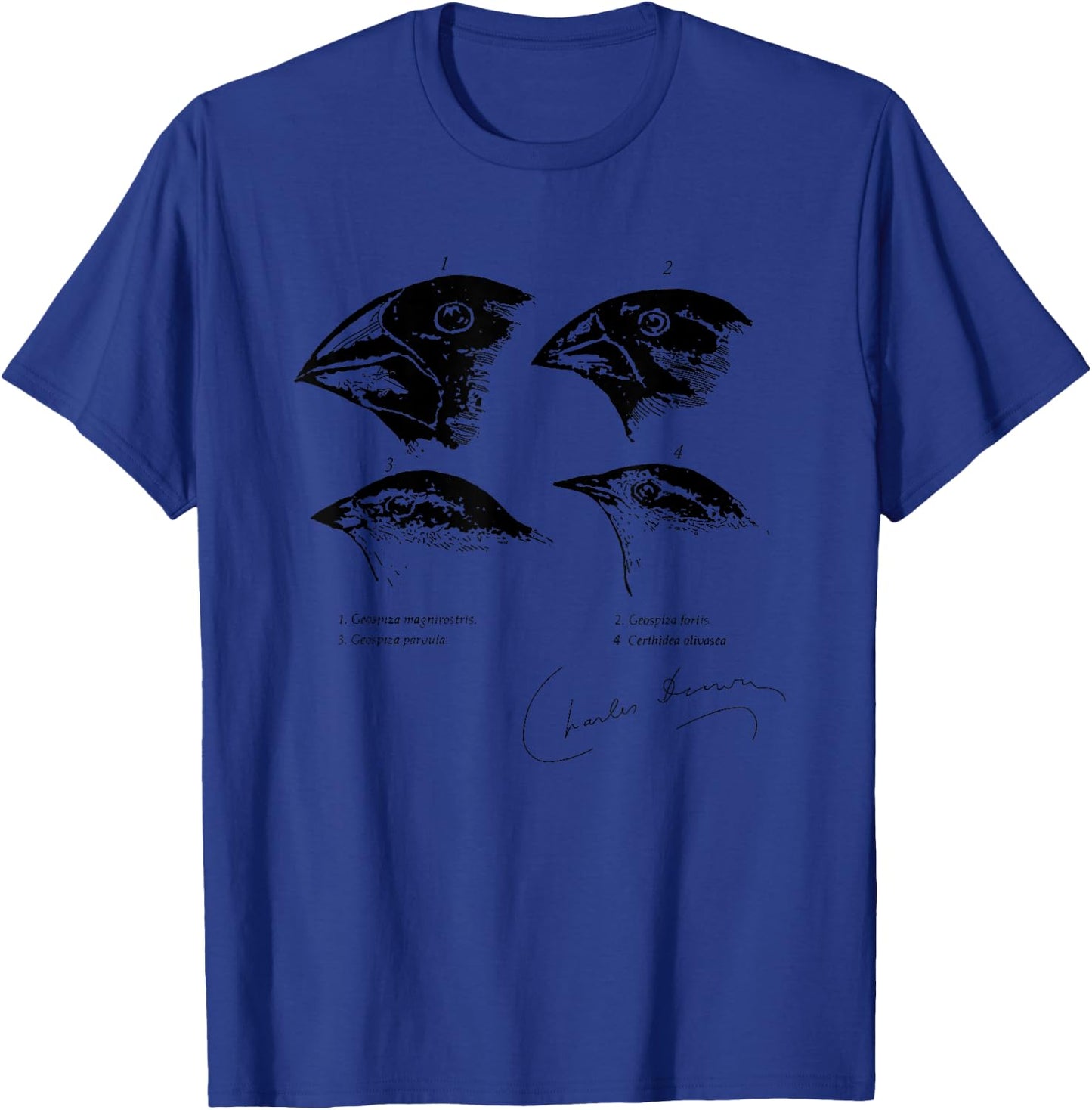 Darwin's Finches Illustration Evolution Atheist T-Shirt - T-Shirt | Royal