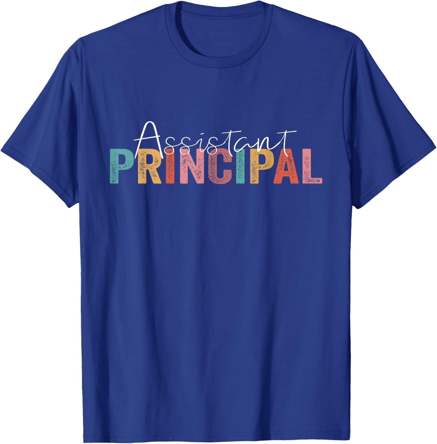 Assistant Principal Funny Job Title School Worker Vintage T-Shirt - T-Shirt | Royal