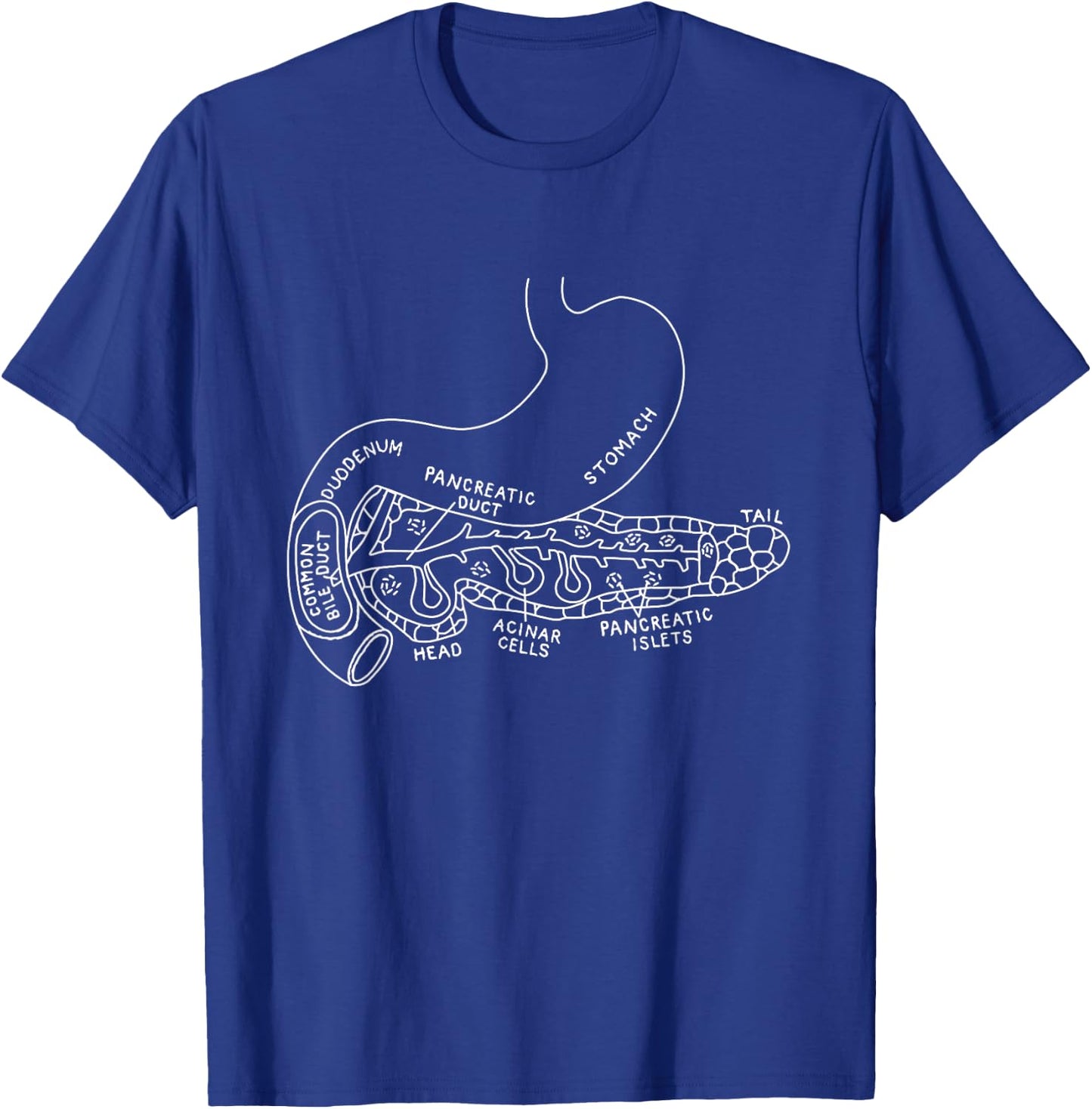 Pancreas Anatomy Pancreatic Pancreatitis Endocrinologist T-Shirt - T-Shirt | Royal