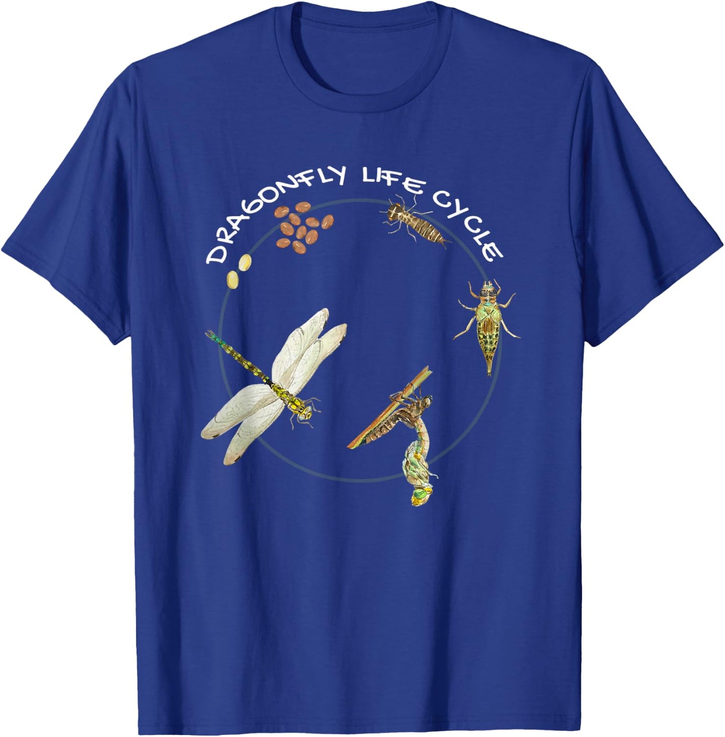 Dragonfly Life Cycle Facts 3 Stages Insect Development T-Shirt - T-Shirt | Royal