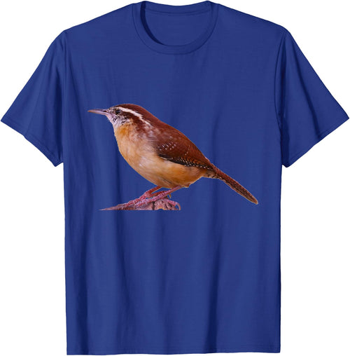 Carolina Wren Bird Ornithology