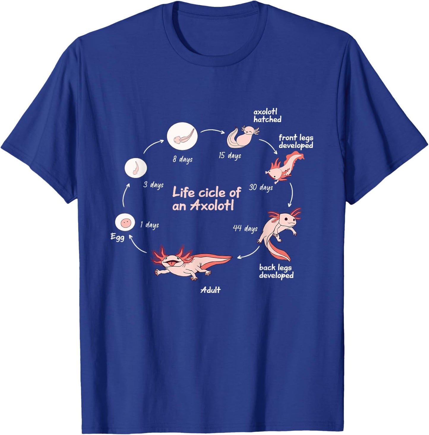 Axolotl Lifecycle Chart Cute Kawaii Salamander Amphibian T-Shirt - T-Shirt | Royal