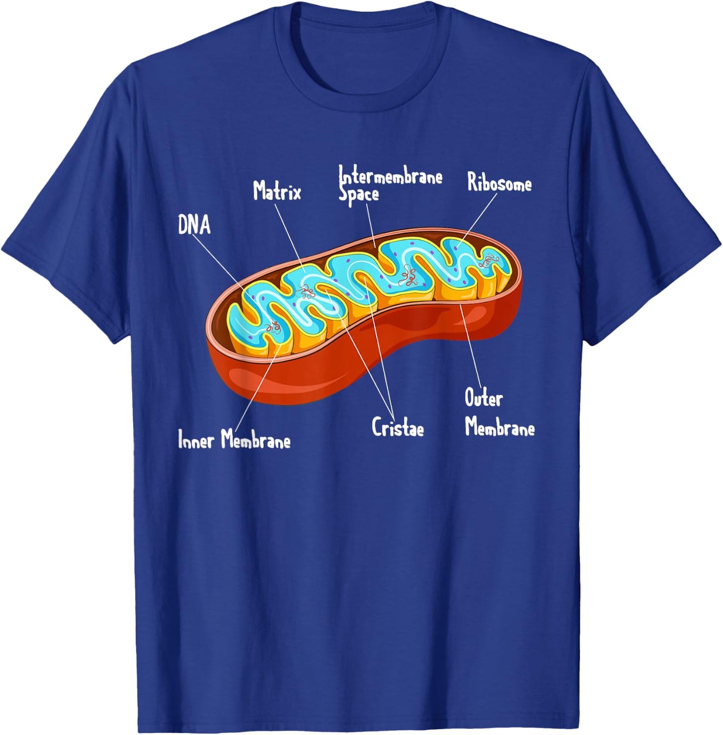 Mitochondria Cell Biology Biologist Science Teacher Student T-Shirt - T-Shirt | Royal