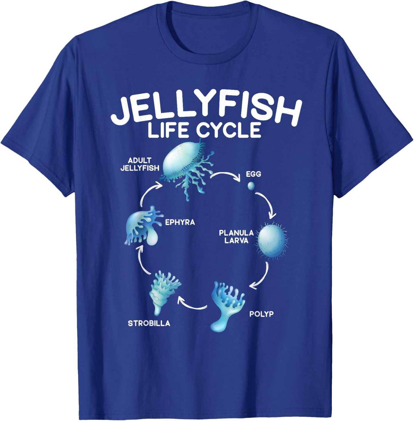 Jellyfish Life Cycle Animal Lover Jellyfish Season T-Shirt - T-Shirt | Royal