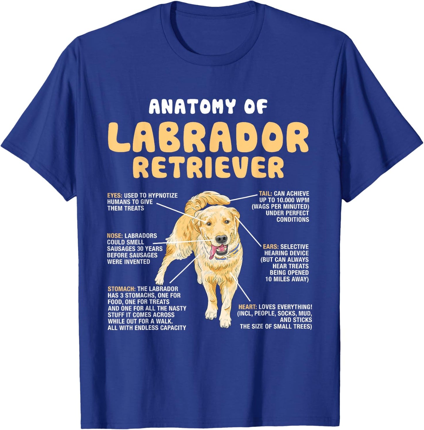 Anatomy Of Labrador Retriever Lovers Funny Lab Owners T-Shirt - T-Shirt | Royal