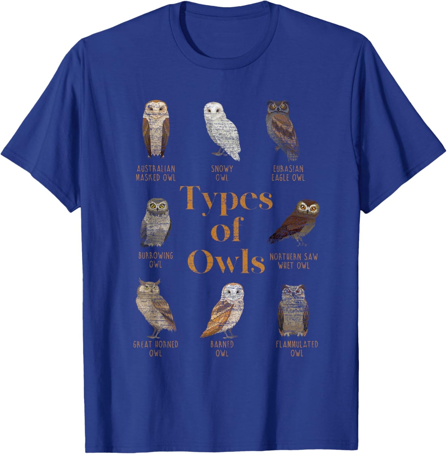 Types Of Owls Ornithologist Gift Animal Wise Bird Lover Owl T-Shirt - T-Shirt | Royal