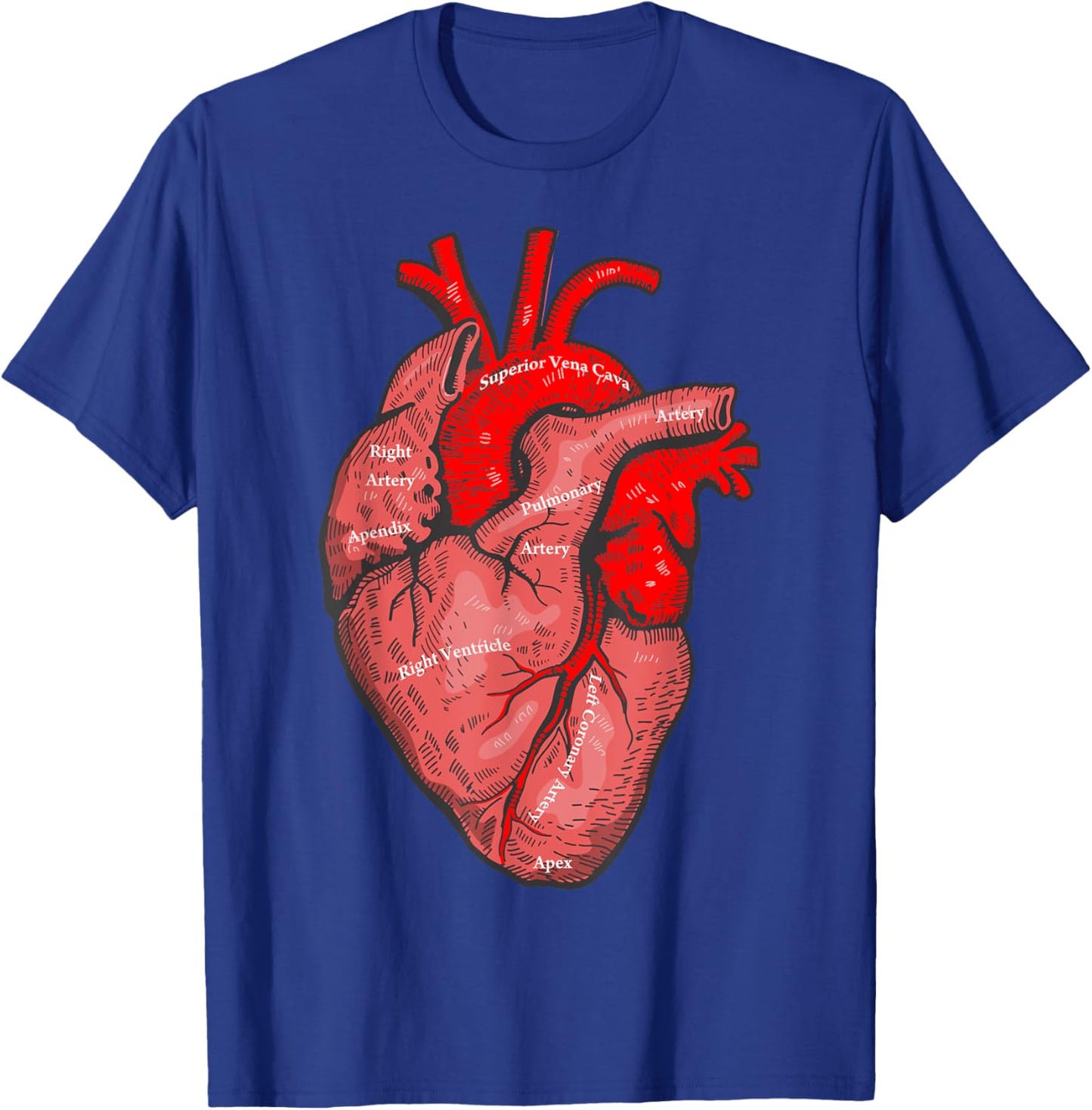 Medical Anatomy Illustration Human Heart Anatomical Themed T-Shirt - T-Shirt | Royal