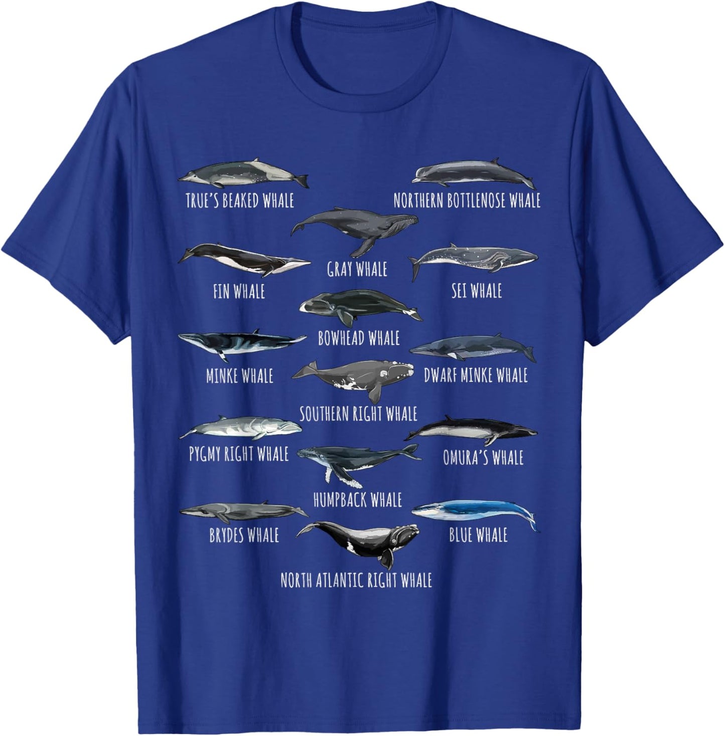 Different Whale Species Biology Types Of Whales T-Shirt - T-Shirt | Royal