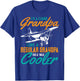 Airplane Gifts - Pilot Grandpa Airplane Novelty T-Shirt - T-Shirt | Royal