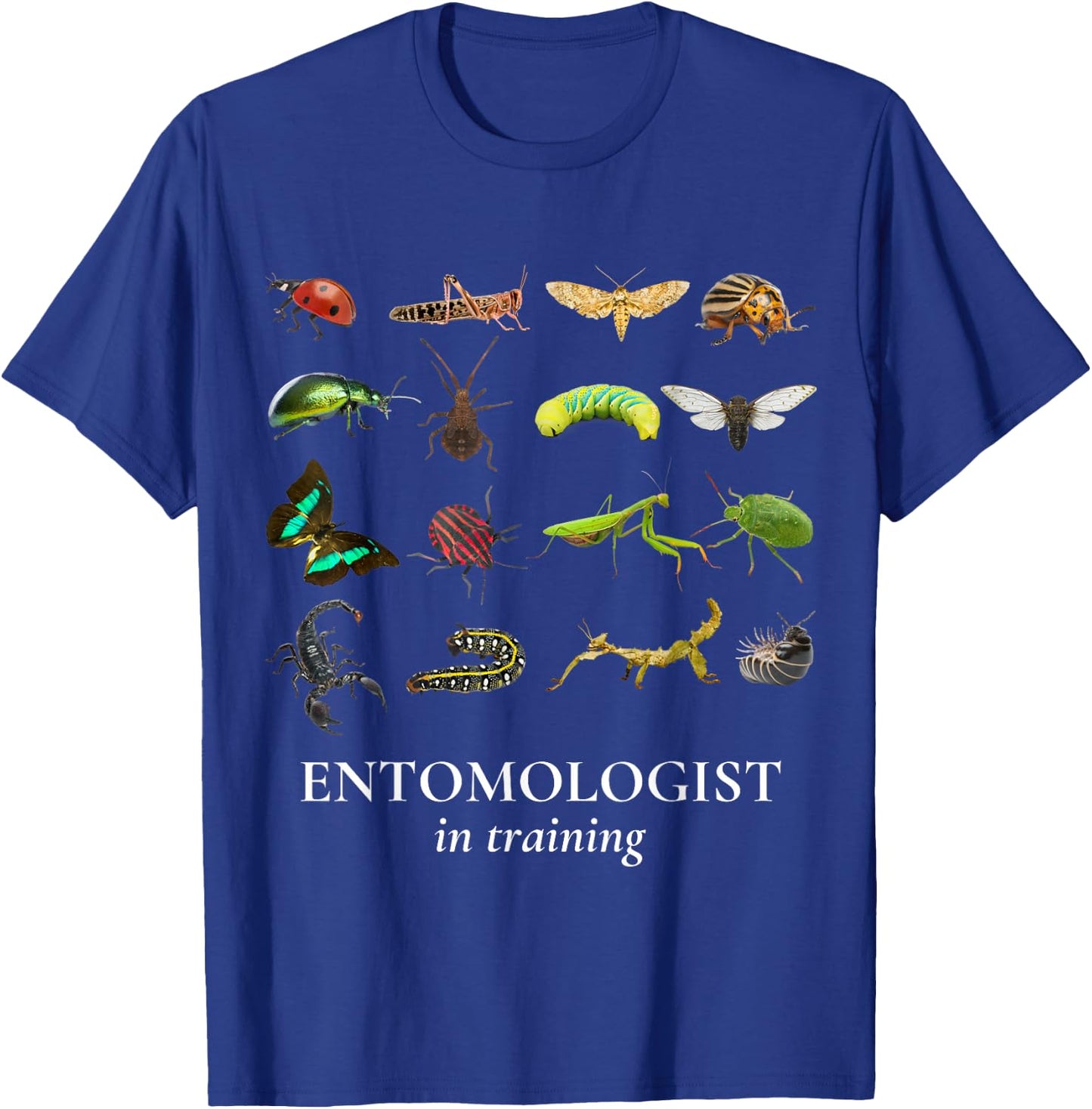 Insect Explorer Entomologist in Training Cicada Boys Girls T-Shirt - T-Shirt | Royal