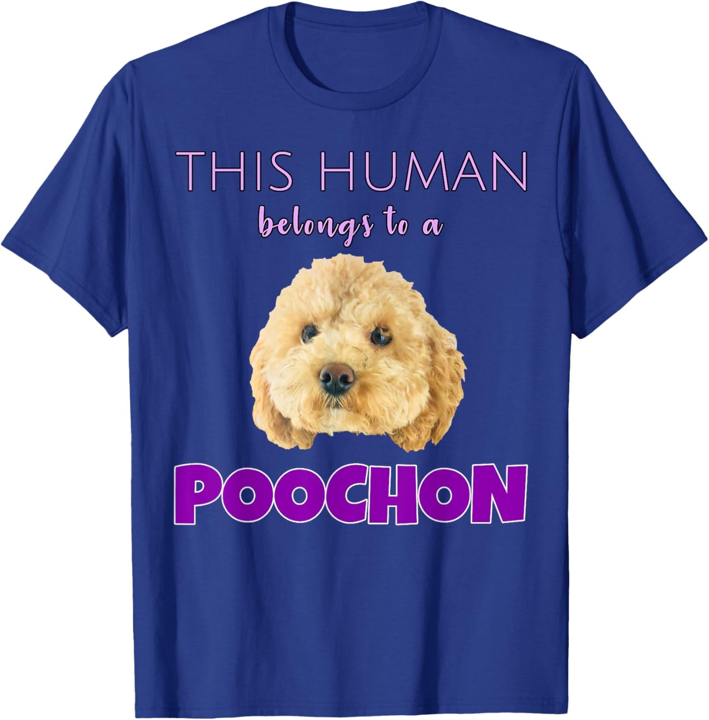 This Human belongs to a Poochon puppy dog owner gift T-Shirt - T-Shirt | Royal