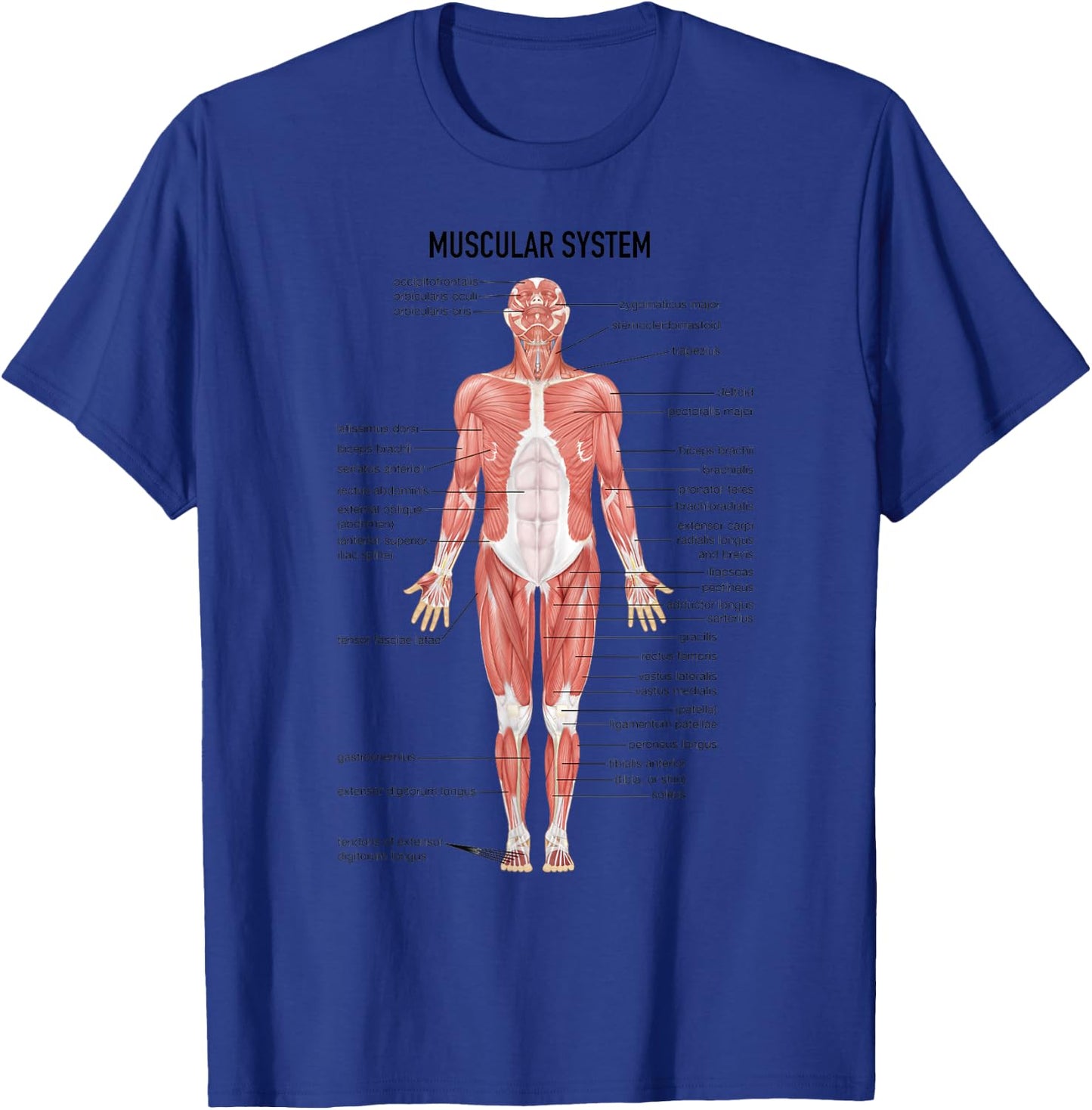 Muscular System Nurse Doctor Funny Med Medical Jokes Humor T-Shirt - T-Shirt | Royal