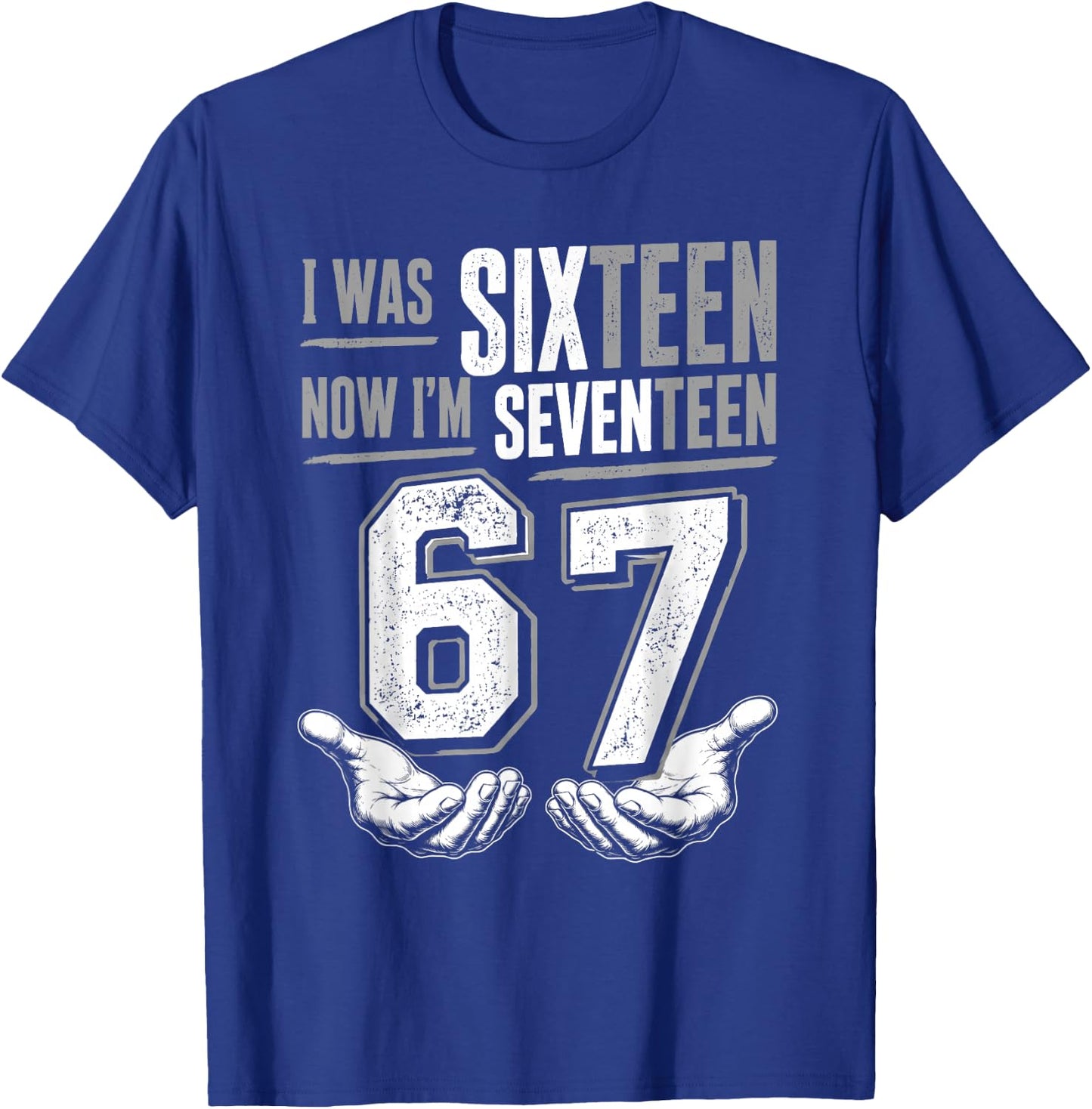 I was 16 Now I’m 17 Year Old Funny Meme Seventeen 17th Bday T-Shirt - T-Shirt | Royal
