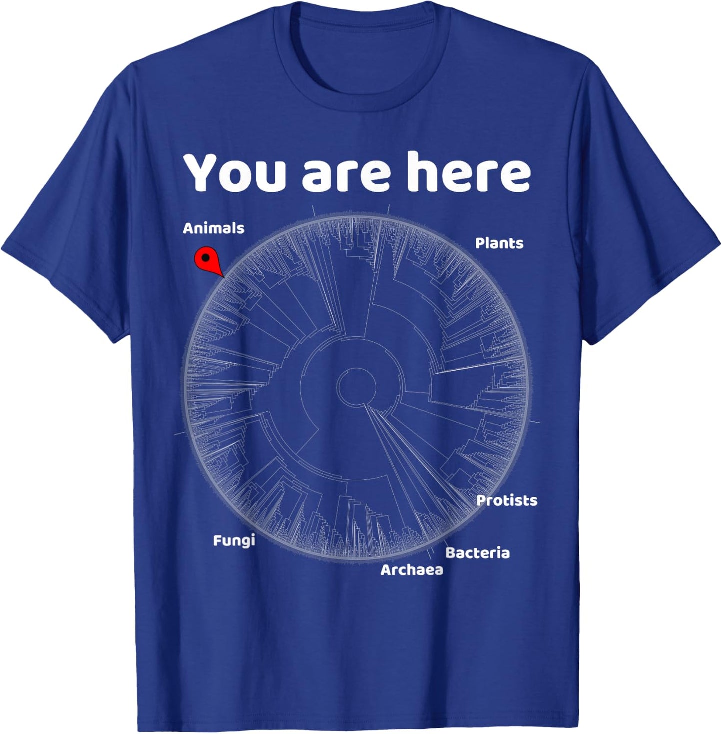 Nerdy You Are Here Tree of Life Evolution Biology Teacher T-Shirt - T-Shirt | Royal