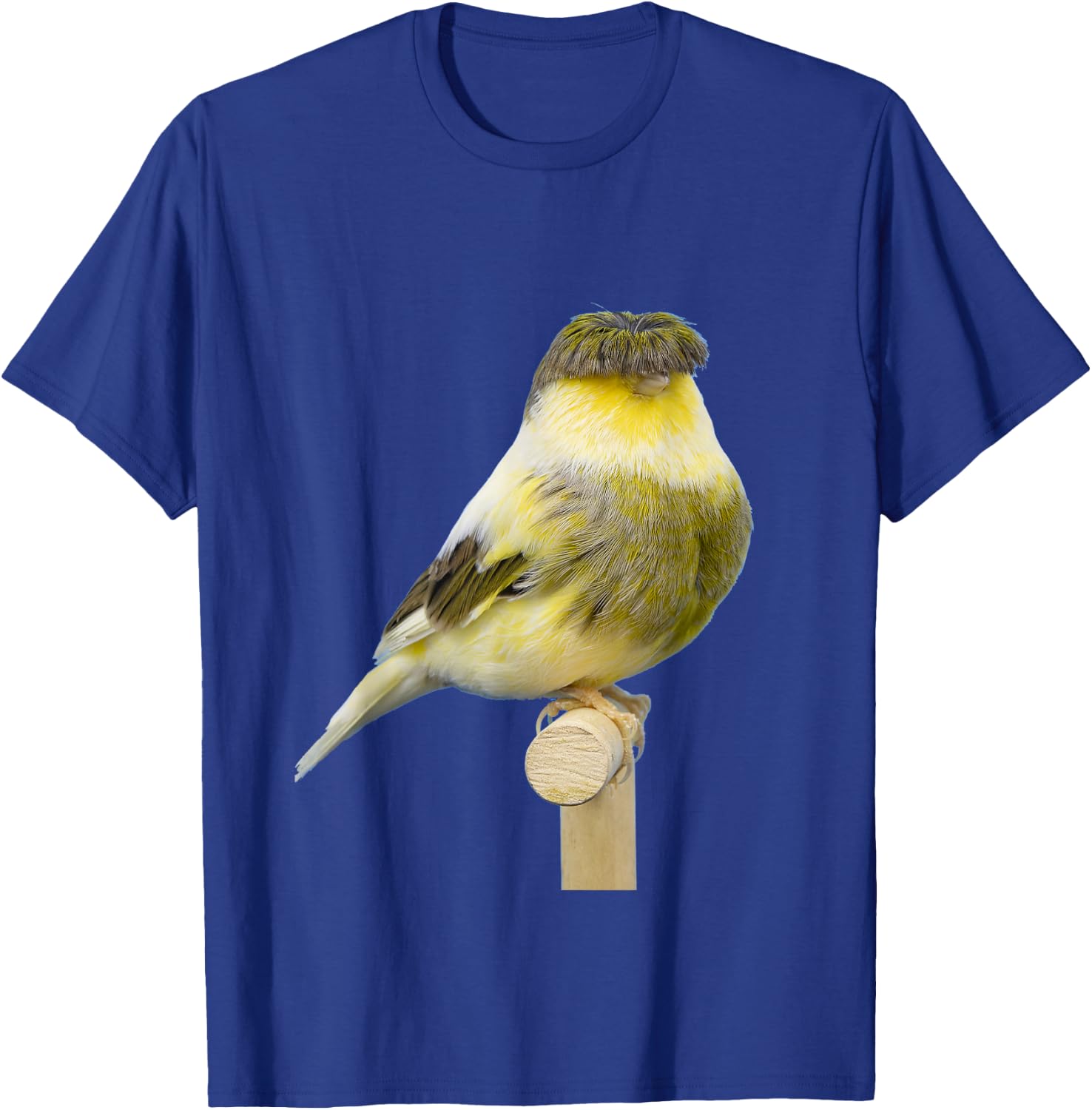 Gloster Canary | Beutiful Canary Gift T-Shirt - T-Shirt | Royal